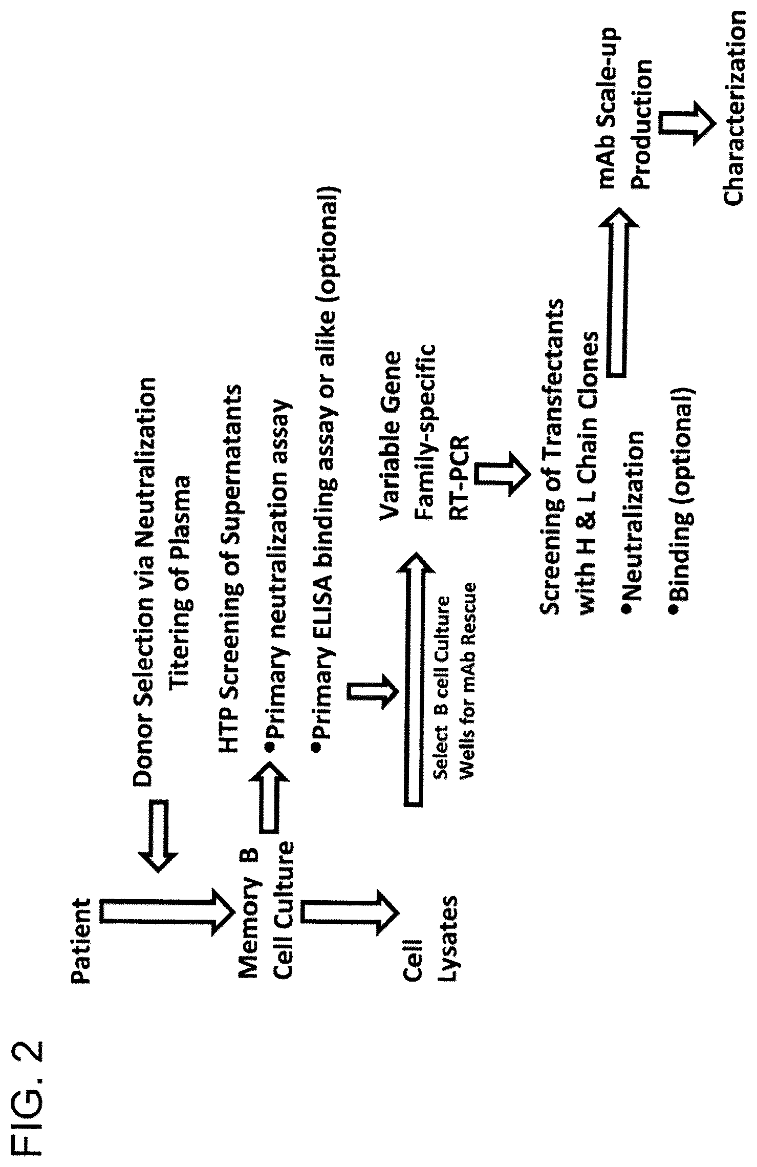 Patent US12312396 Figure 2 – Monoclonal antibodies directed against trimeric forms of the HIV-1 envelope glycoprotein with broad and potent neutralizing activity