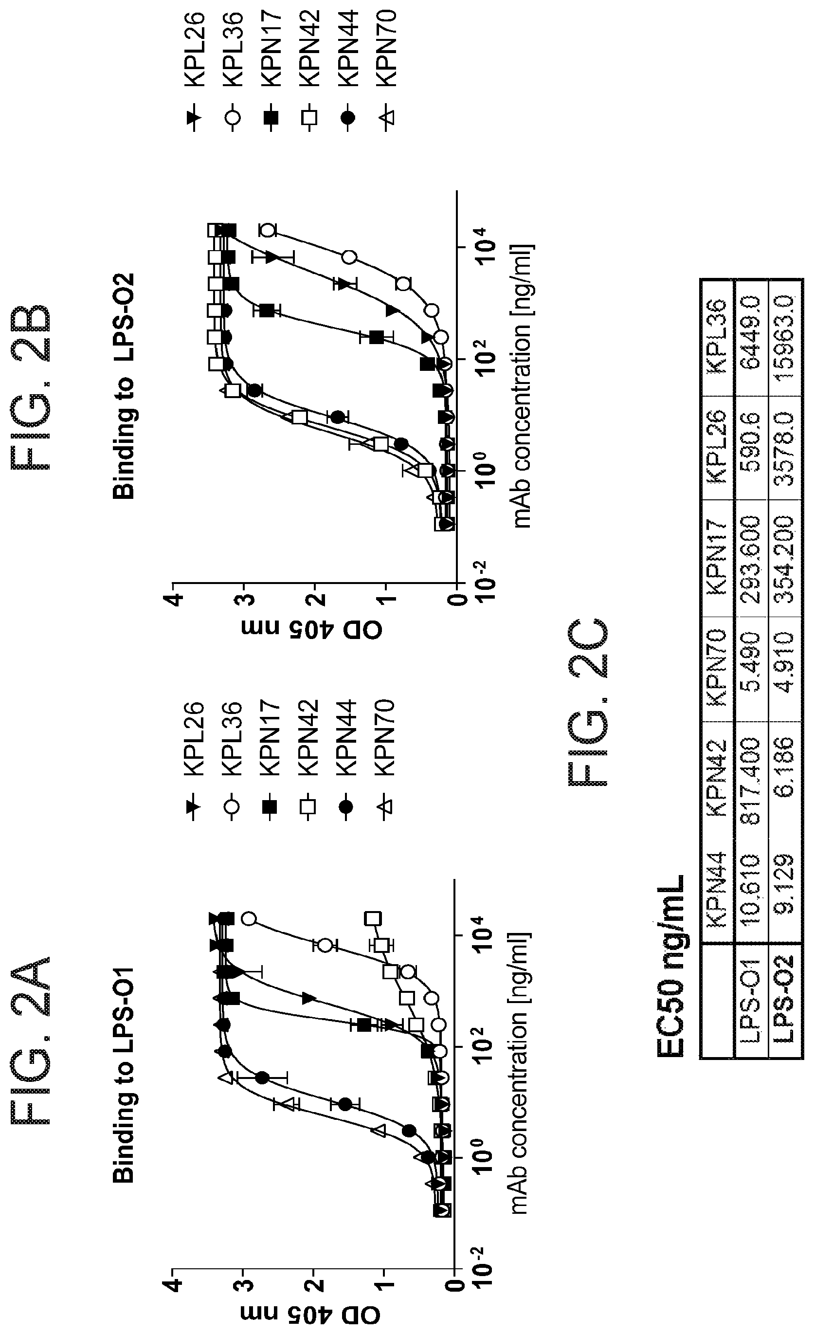 Patent US12312397 Figure 2 – Anti-O2 antibodies and uses thereof