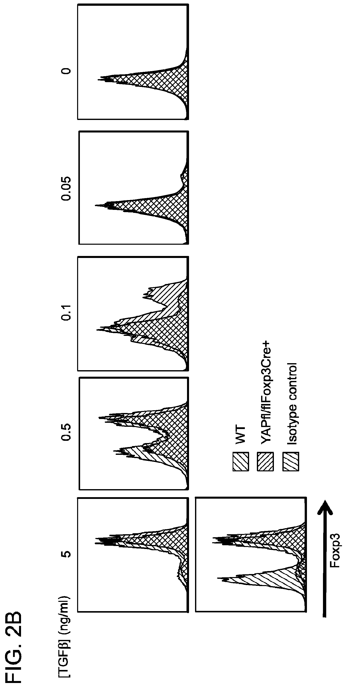 Patent US12312398 Figure 3 – Compositions and methods for targeting activin signaling to treat cancer