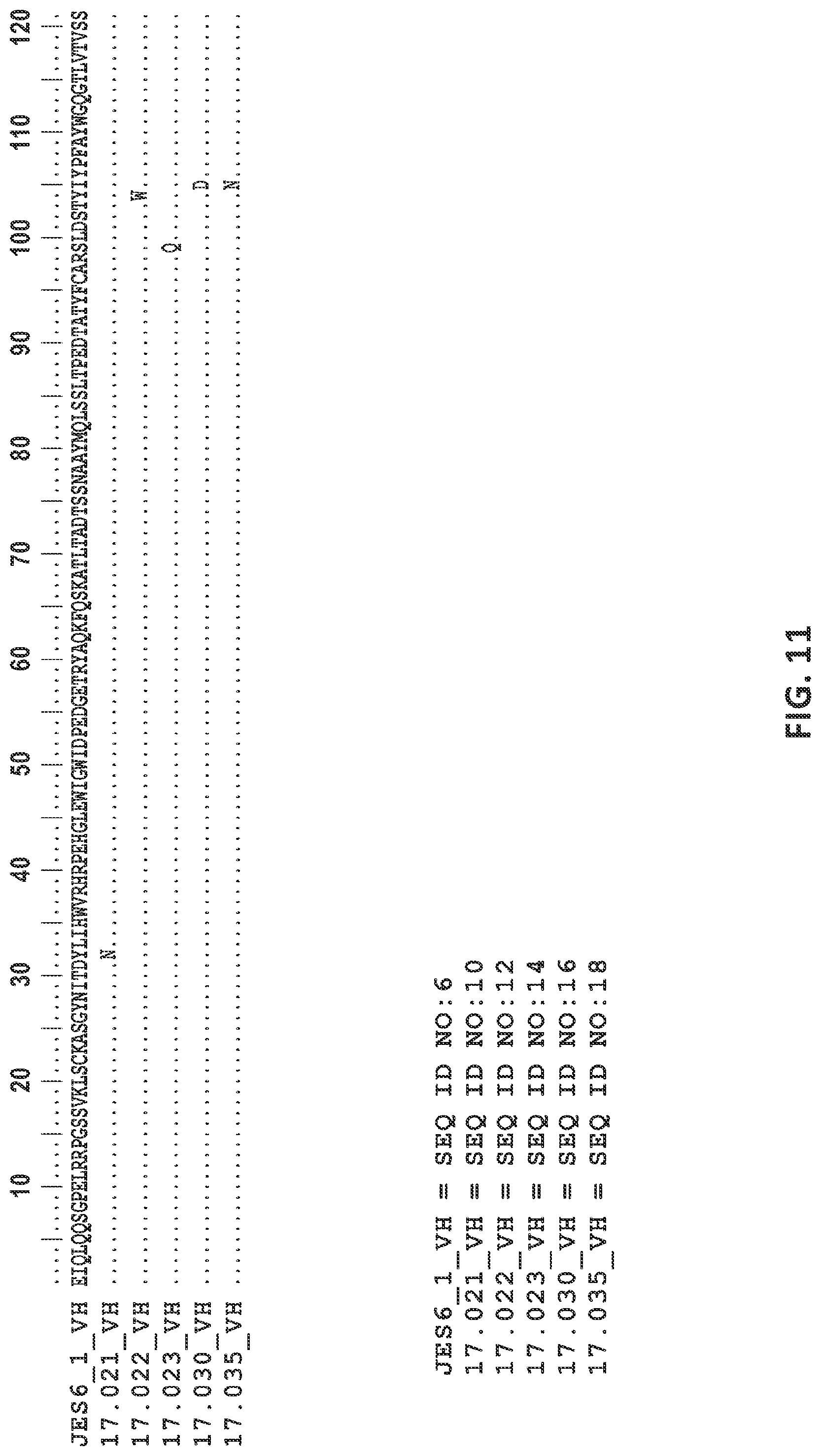 Patent US12312400 Figure 19 – Engineered anti-il-2 antibodies