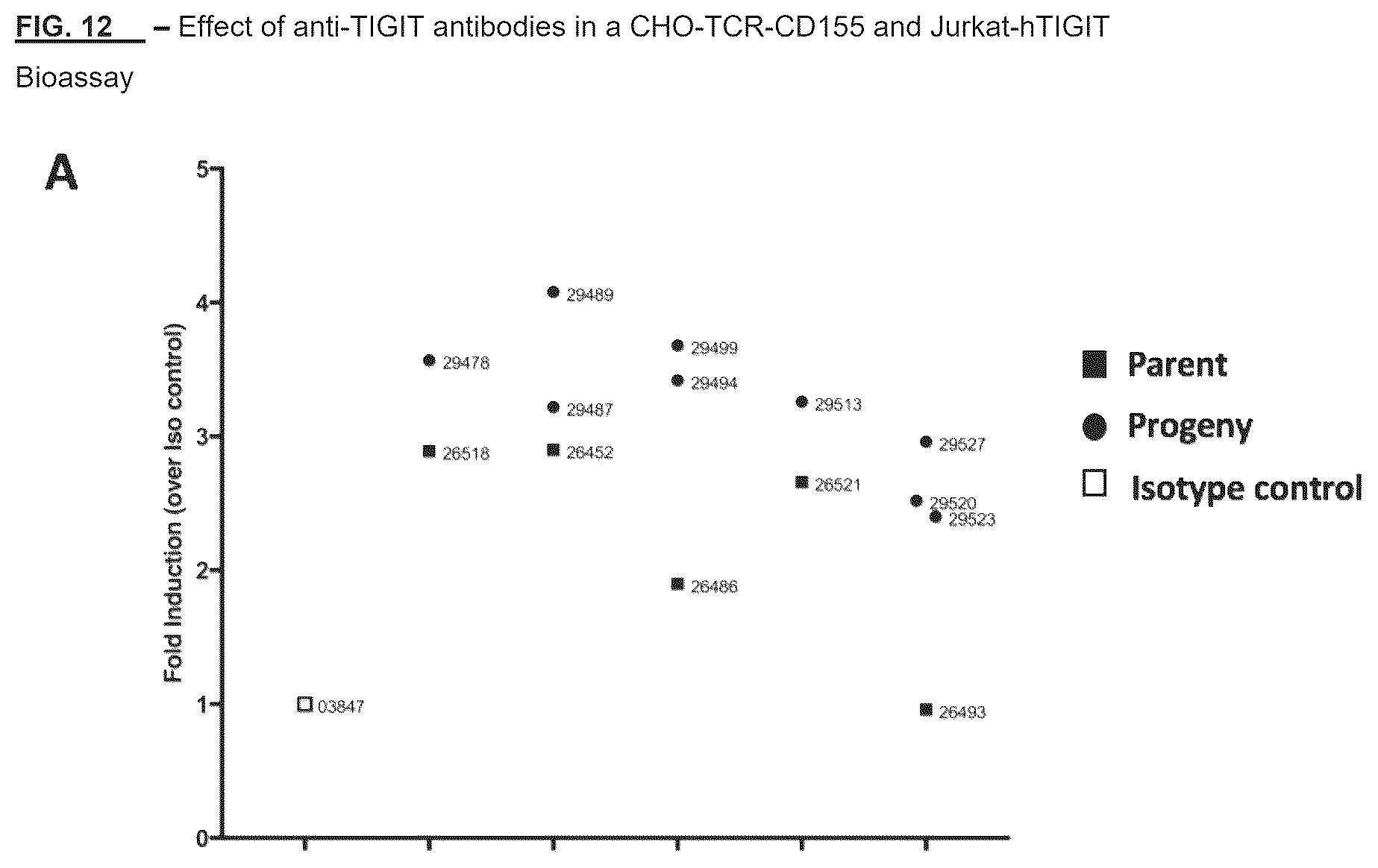 Patent US12312401 Figure 20 – Anti-TIGIT antibodies