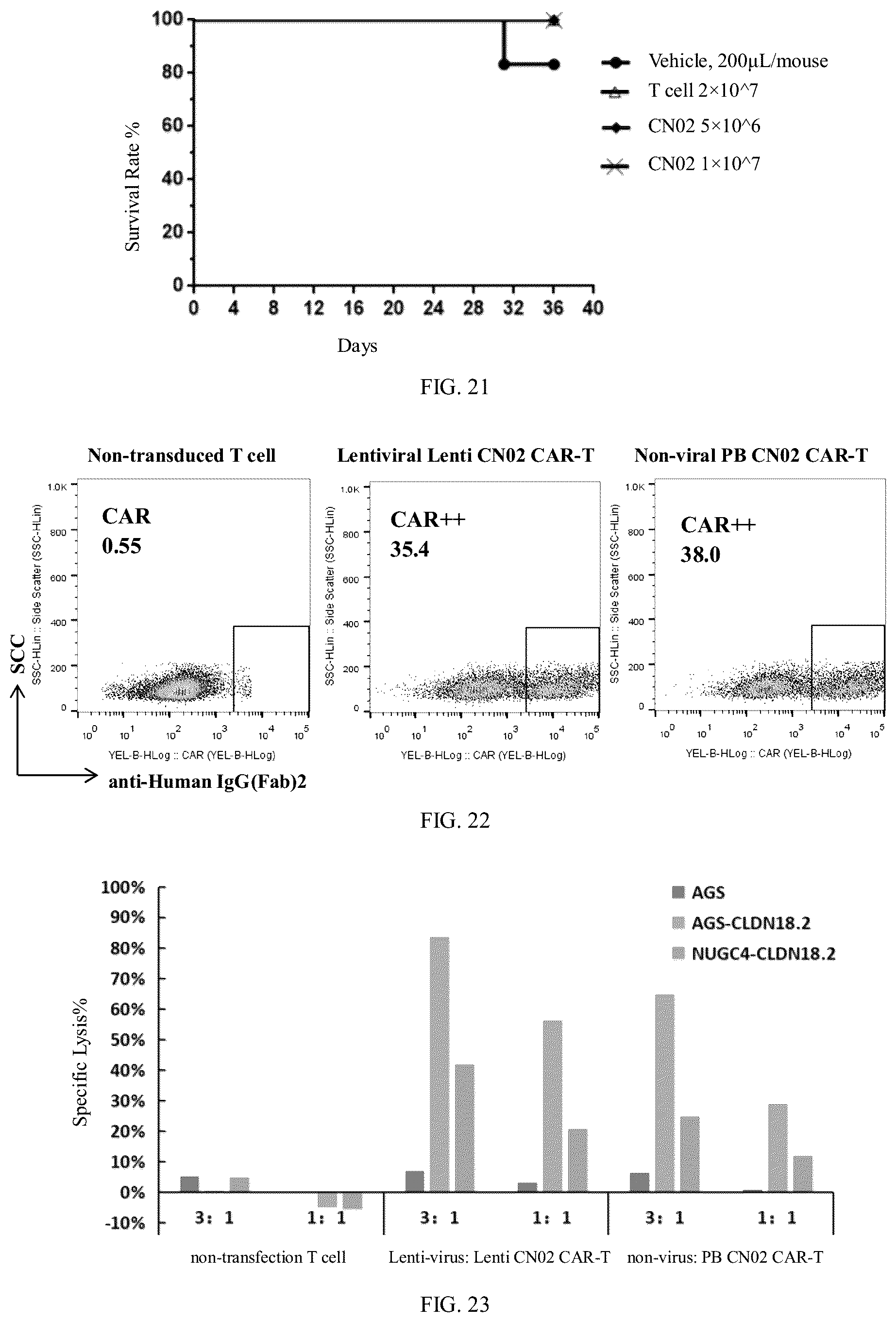 Patent US12312402 Figure 10 – Antibody or chimeric antigen receptor which targets Claudin 18.2