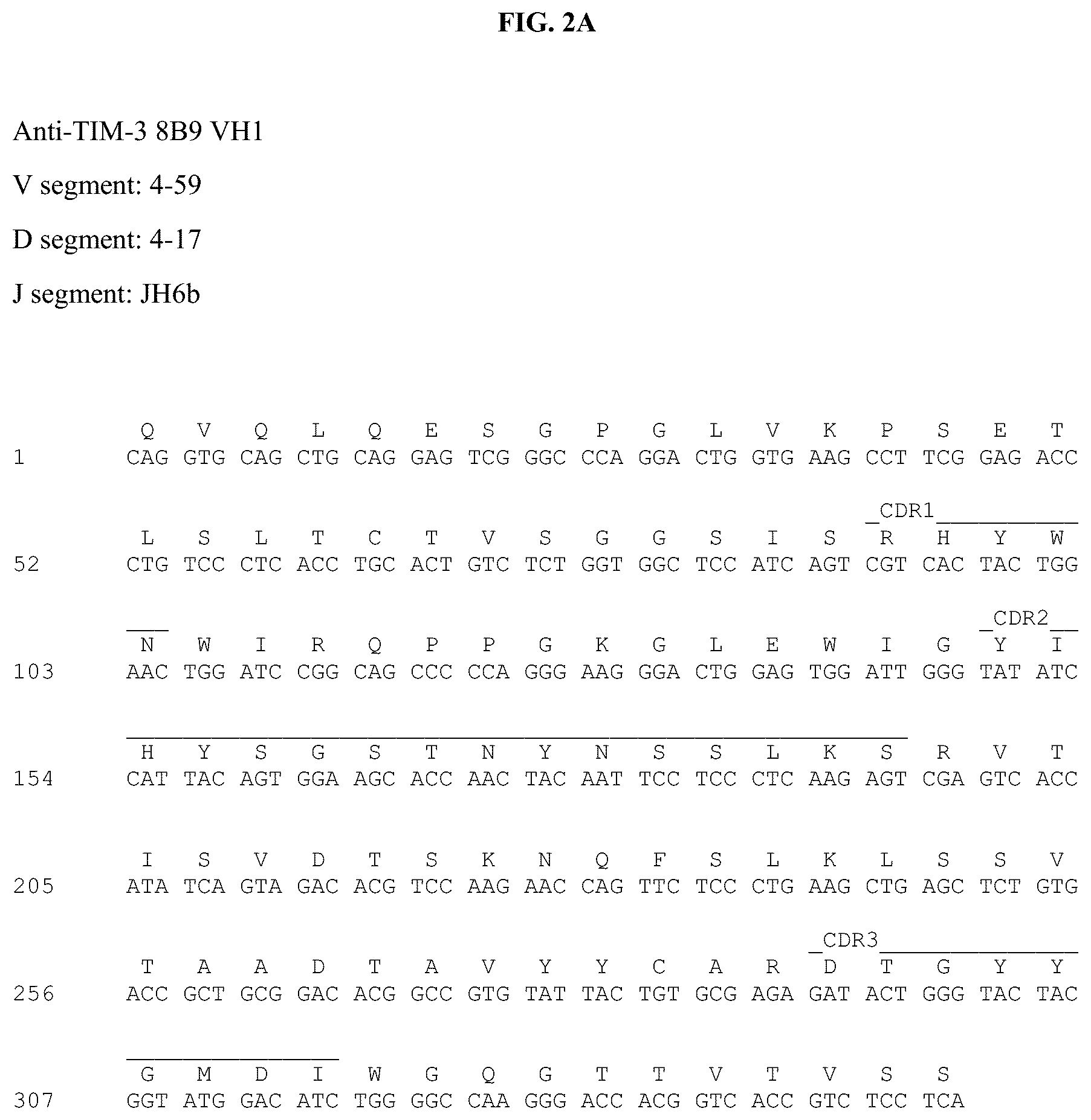 Patent US12312403 Figure 4 – Antibodies against TIM3 and uses thereof