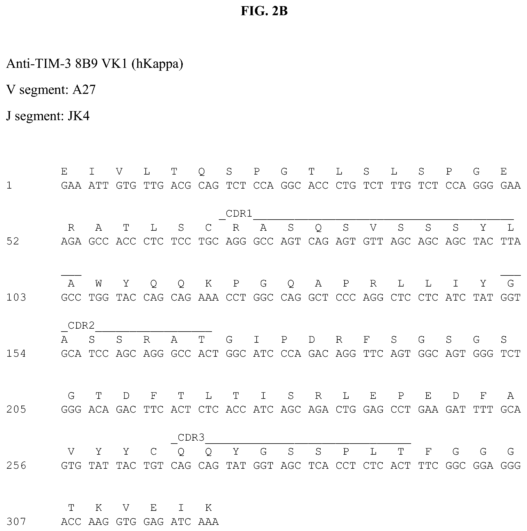 Patent US12312403 Figure 5 – Antibodies against TIM3 and uses thereof