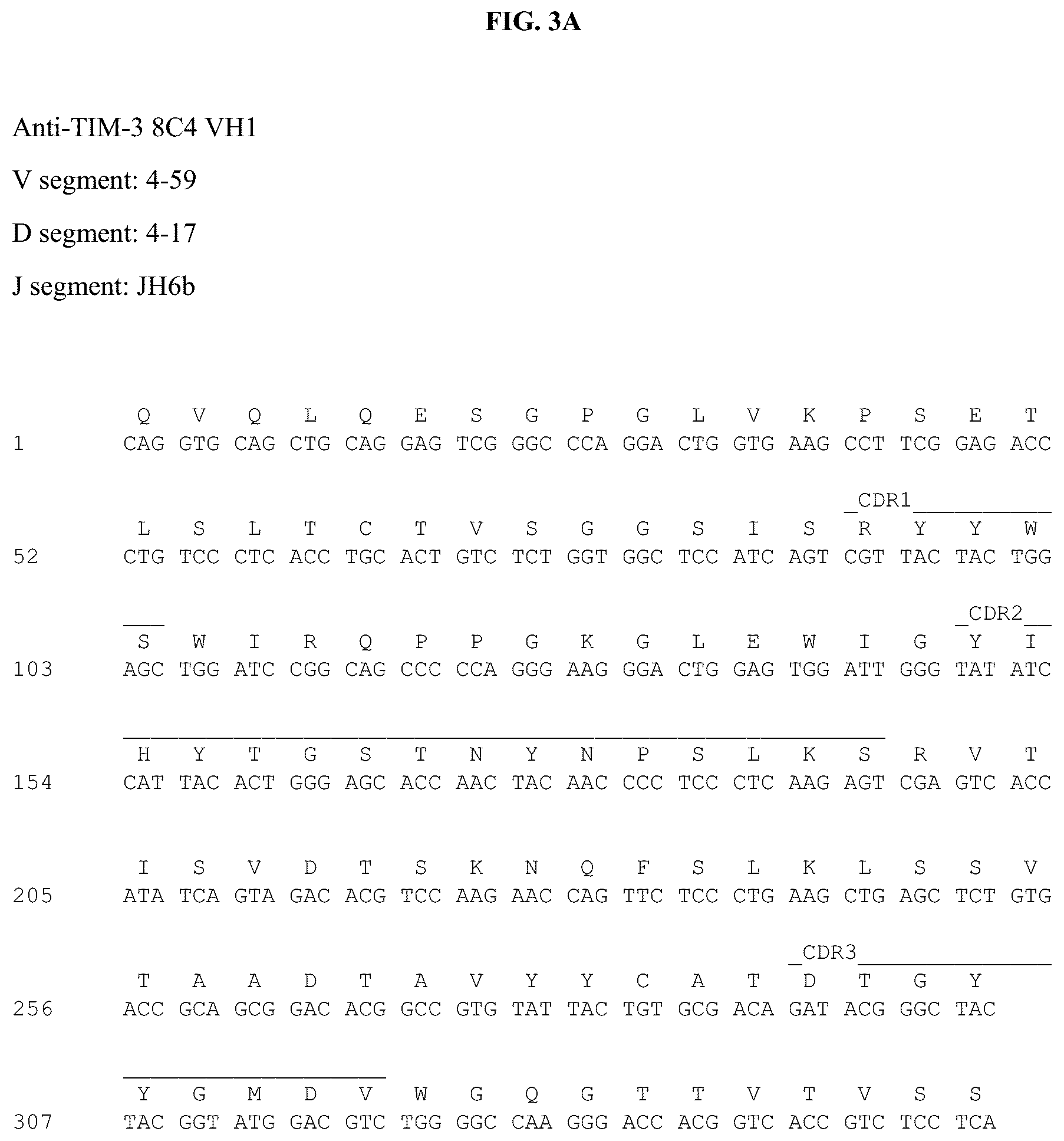 Patent US12312403 Figure 7 – Antibodies against TIM3 and uses thereof
