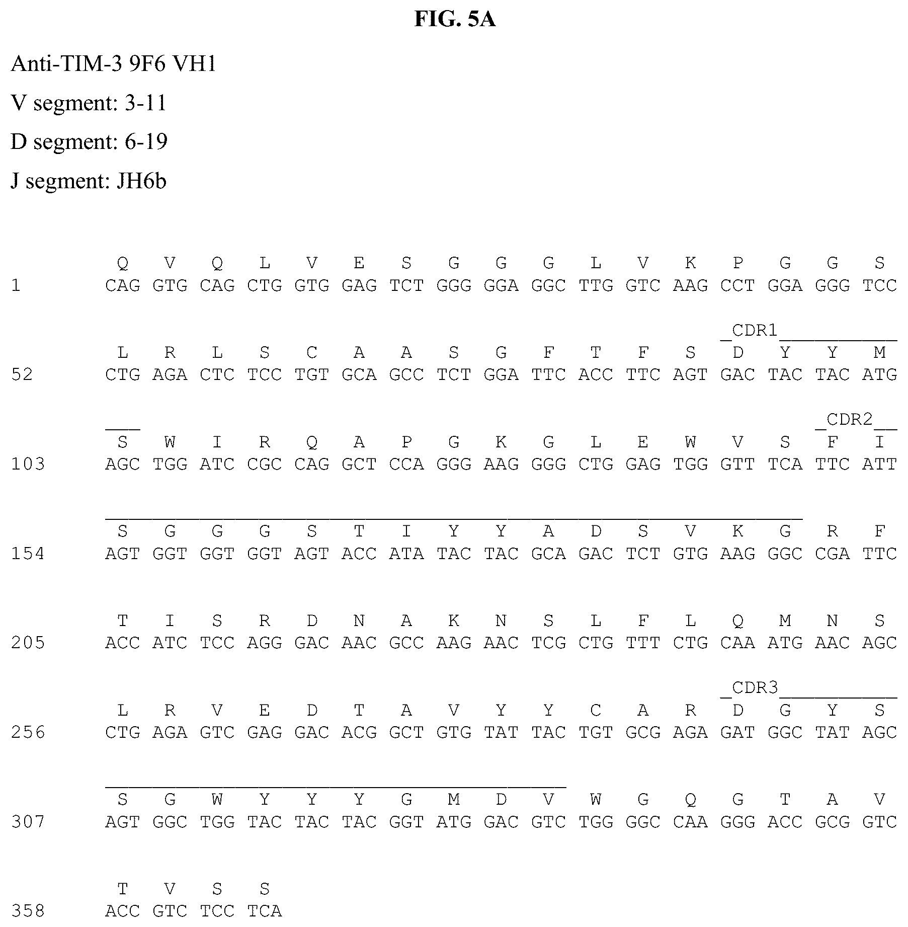 Patent US12312403 Figure 13 – Antibodies against TIM3 and uses thereof