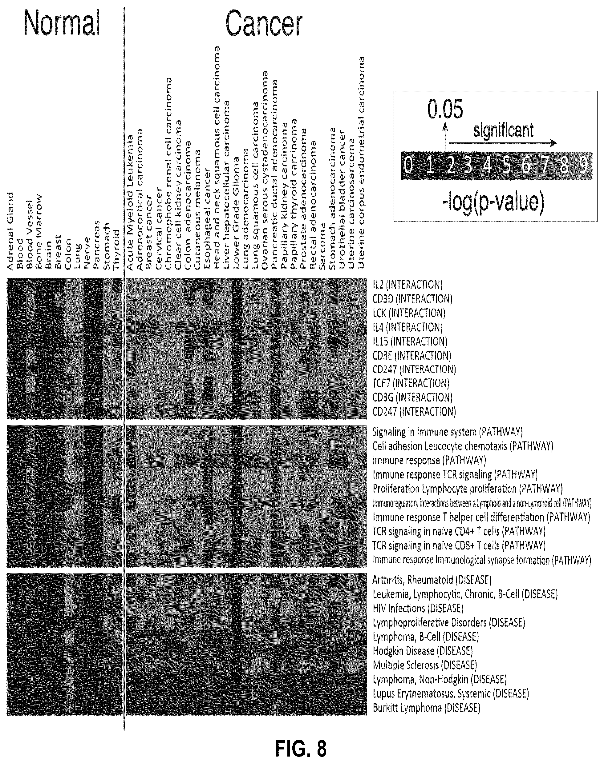 Patent US12312404 Figure 10 – Anti-PVRIG antibodies and methods of use