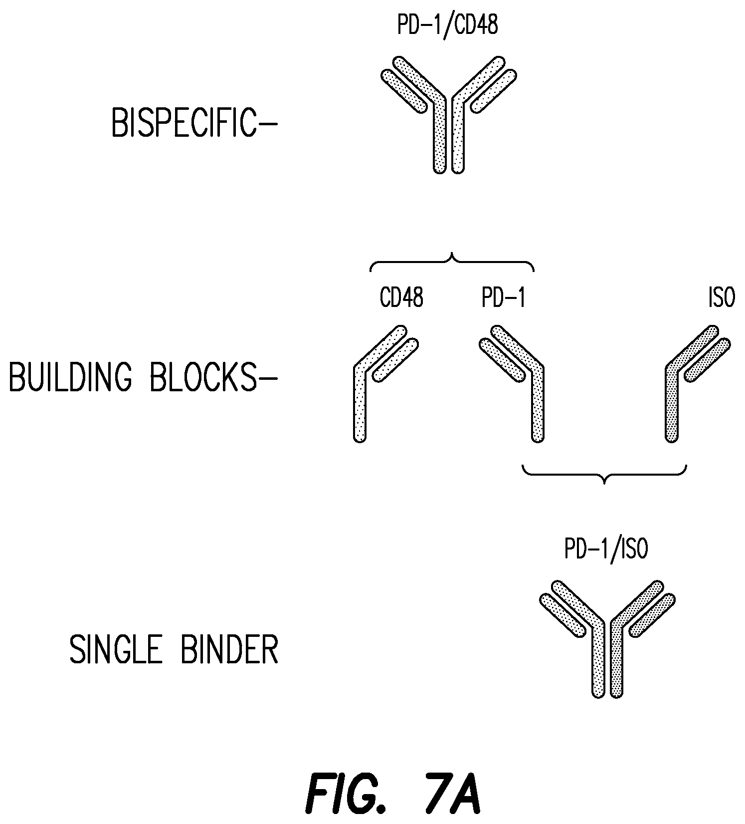 Patent US12312405 Figure 12 – Anti-PD-1 antibodies