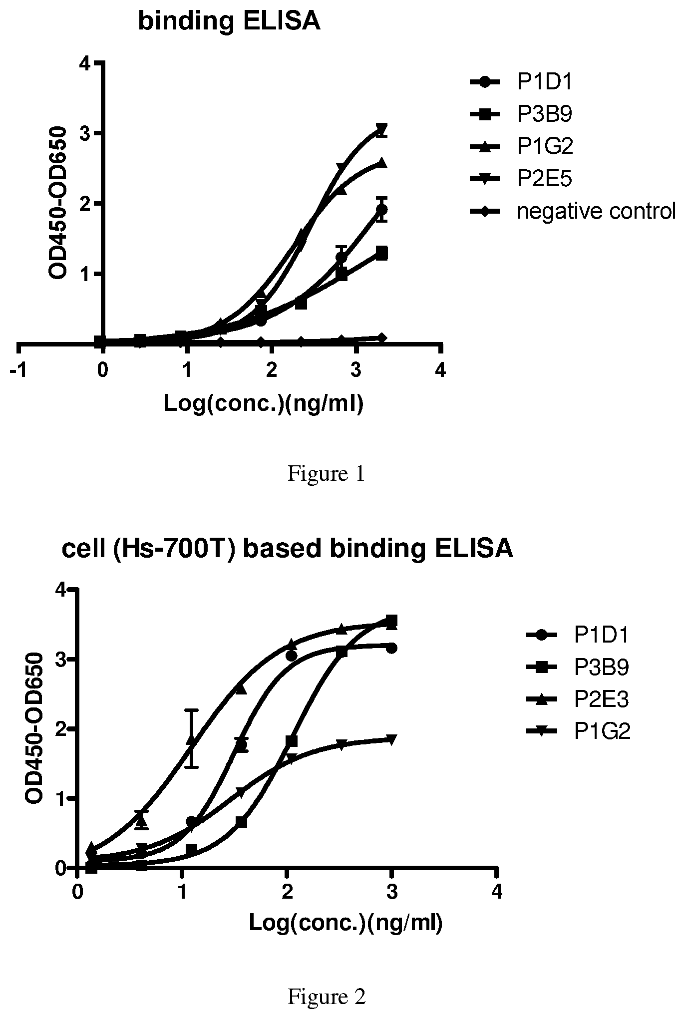 Patent US12312406 Figure 1 – Anti-B7-H3 antibody, preparation method therefor, conjugate and application thereof