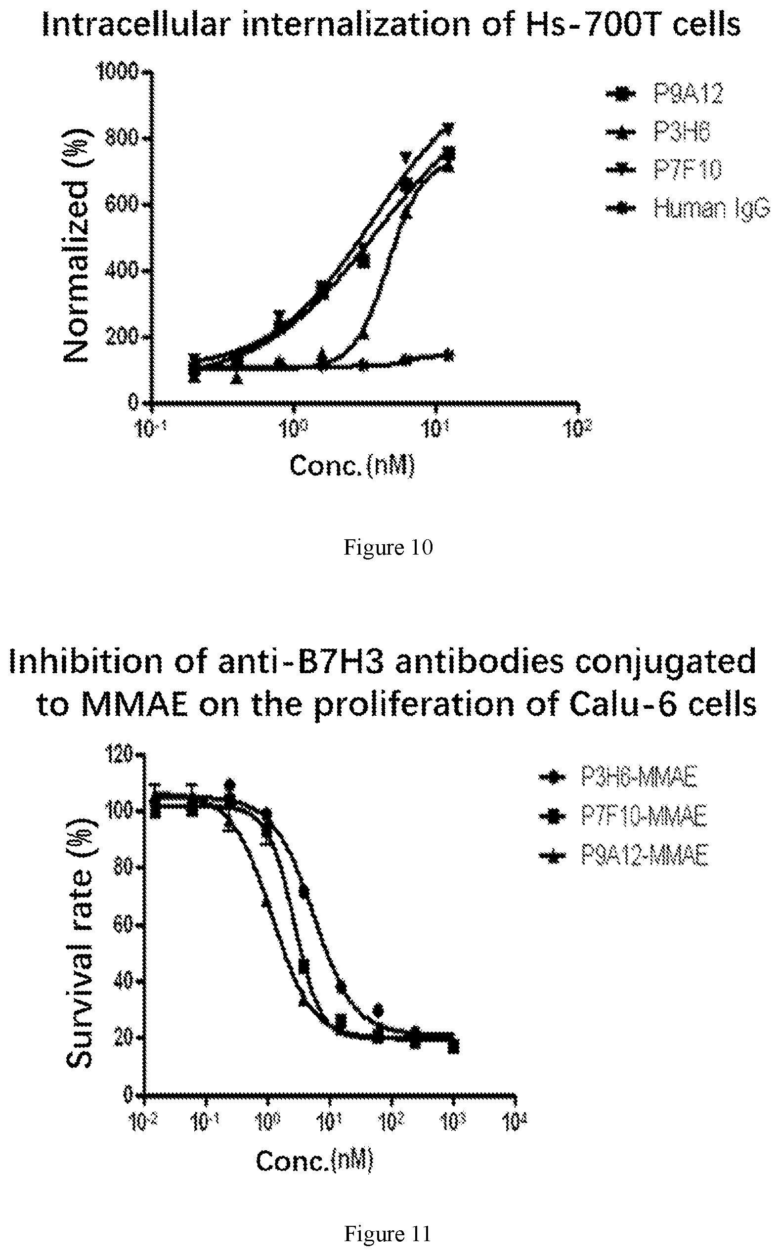 Patent US12312406 Figure 6 – Anti-B7-H3 antibody, preparation method therefor, conjugate and application thereof