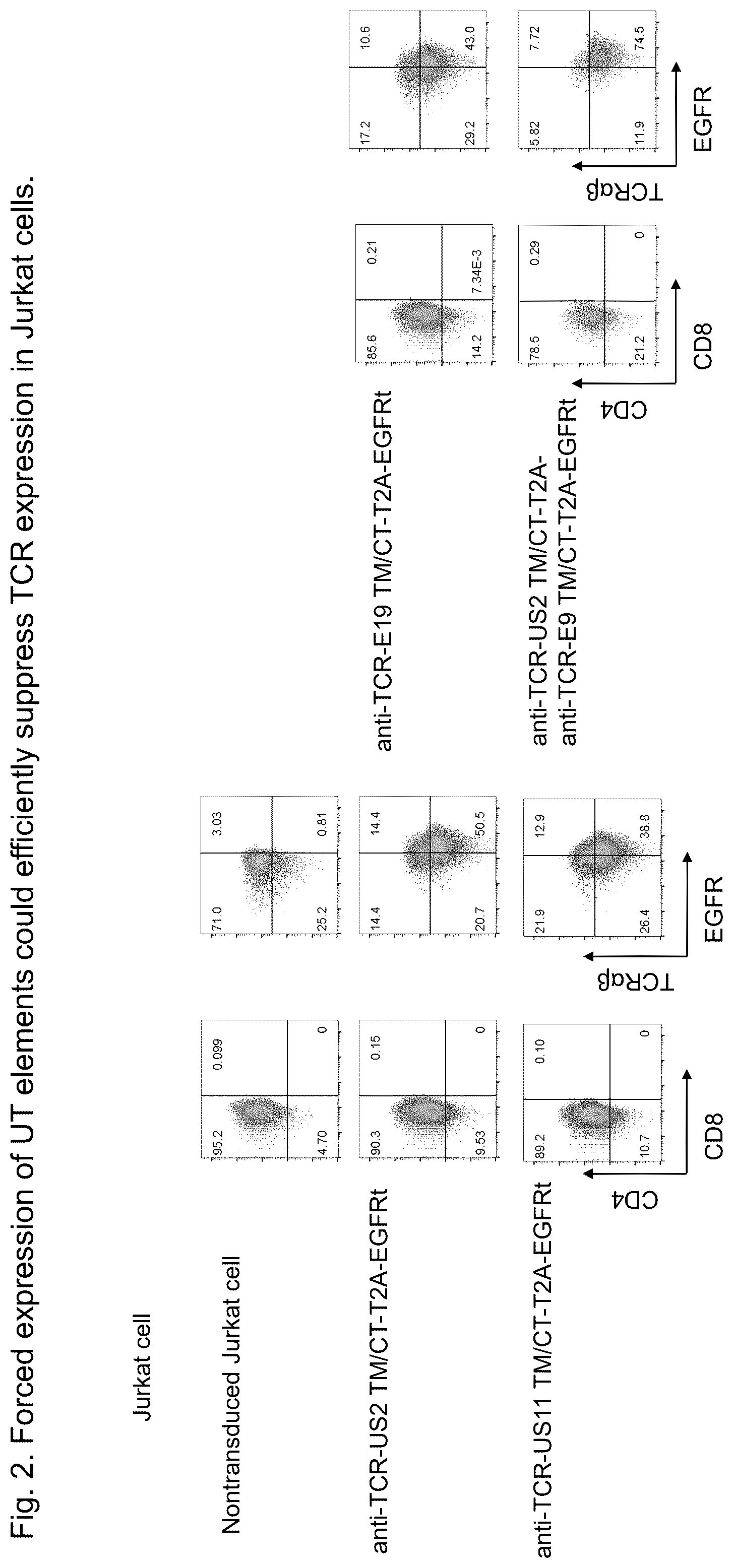 Patent US12312407 Figure 4 – Universal T cells and the method of use thereof