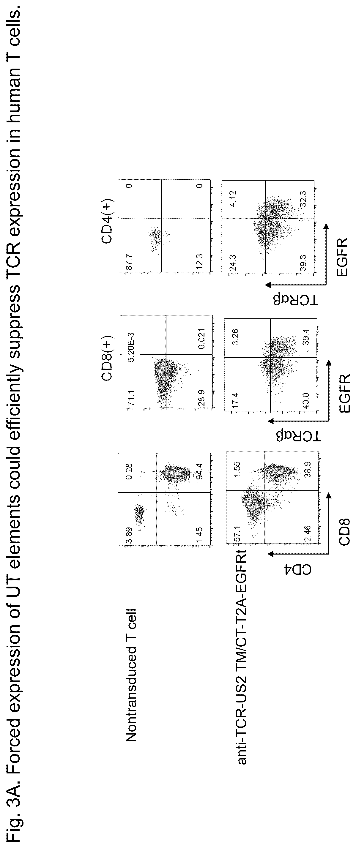 Patent US12312407 Figure 5 – Universal T cells and the method of use thereof