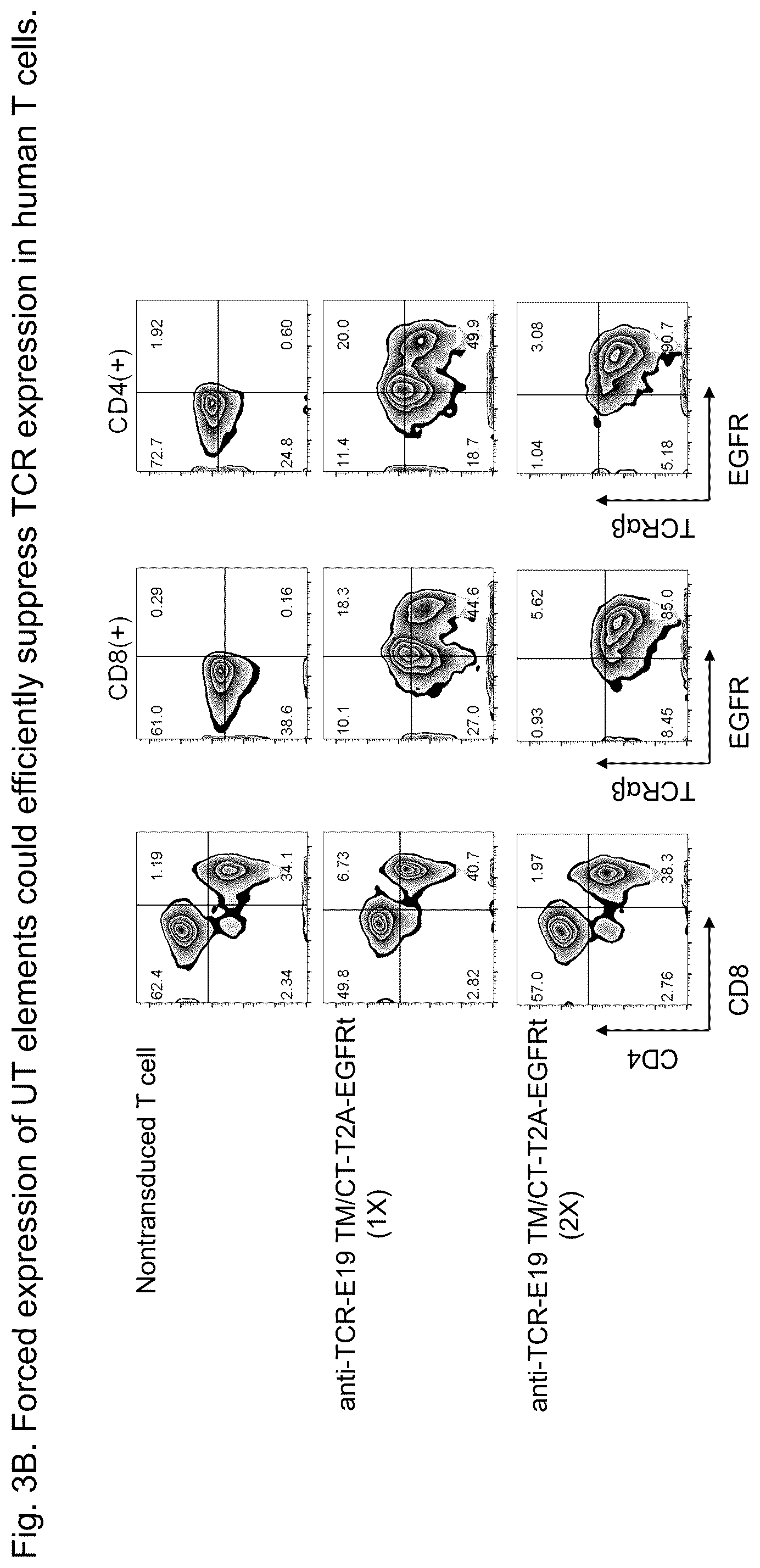Patent US12312407 Figure 6 – Universal T cells and the method of use thereof