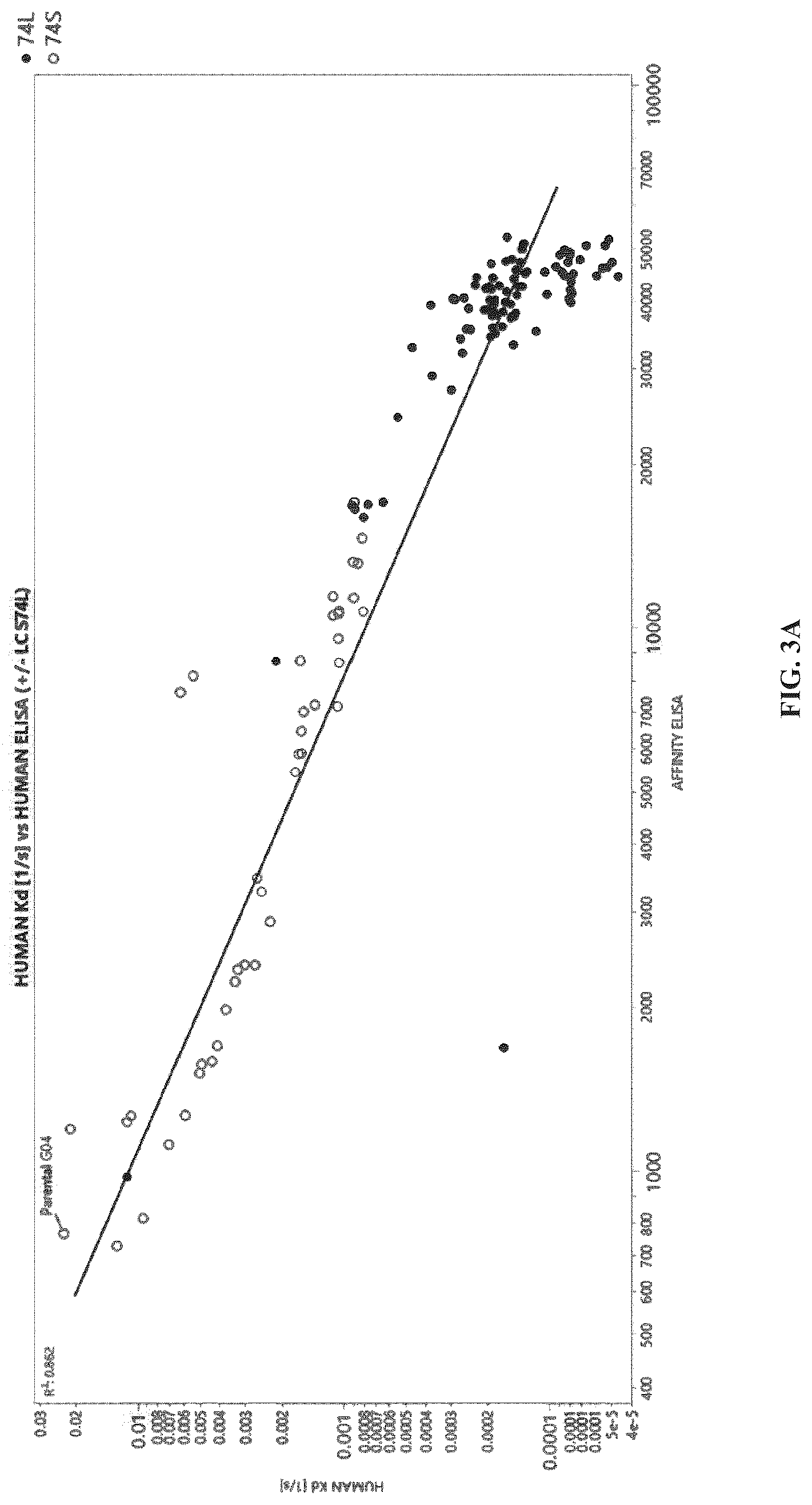 Patent US12312408 Figure 6 – Multispecific anti-TCR delta variable 1 antibodies