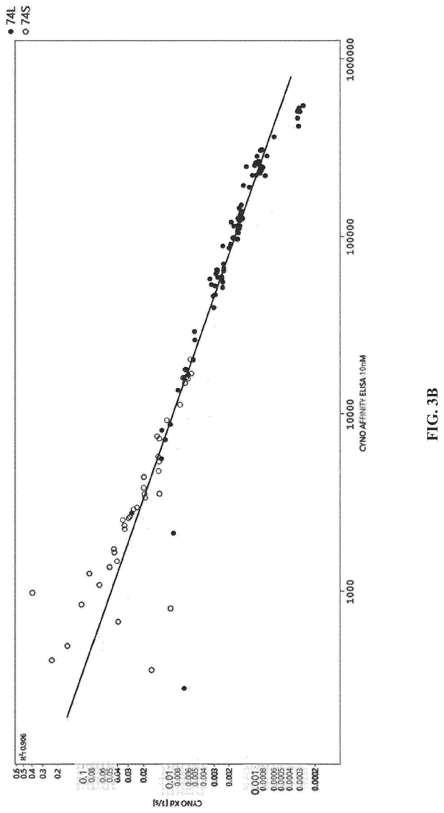 Patent US12312408 Figure 7 – Multispecific anti-TCR delta variable 1 antibodies