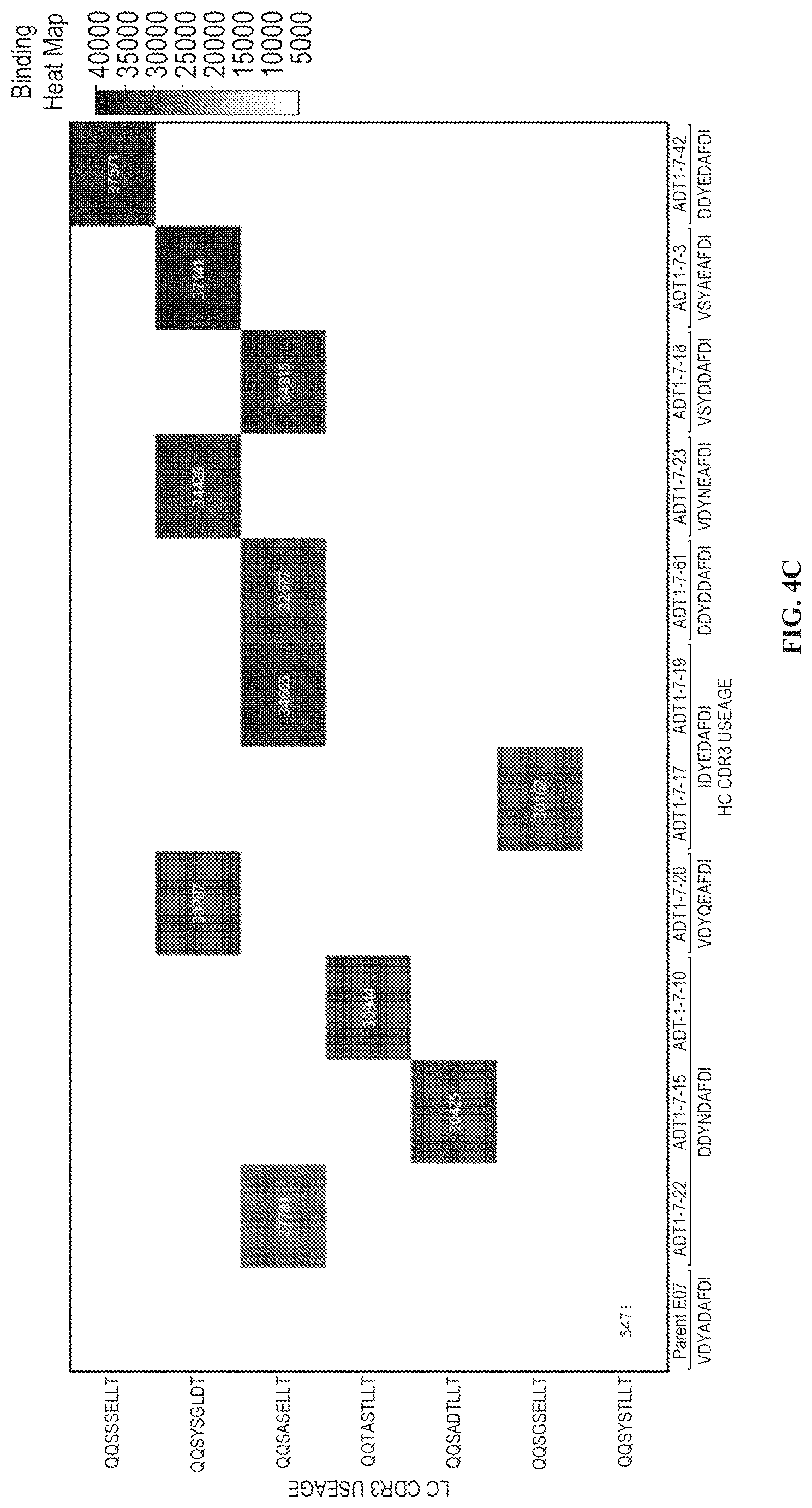 Patent US12312408 Figure 11 – Multispecific anti-TCR delta variable 1 antibodies