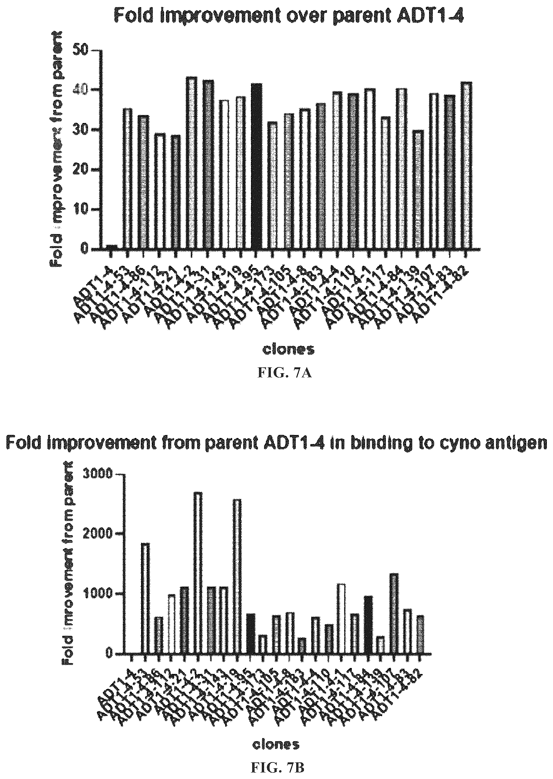 Patent US12312408 Figure 14 – Multispecific anti-TCR delta variable 1 antibodies
