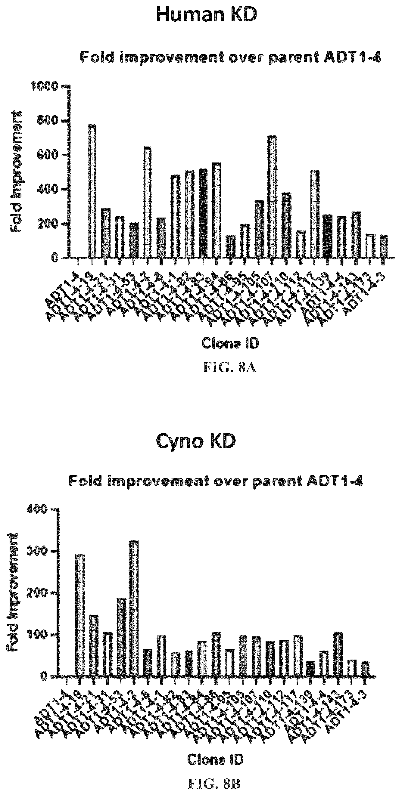 Patent US12312408 Figure 16 – Multispecific anti-TCR delta variable 1 antibodies