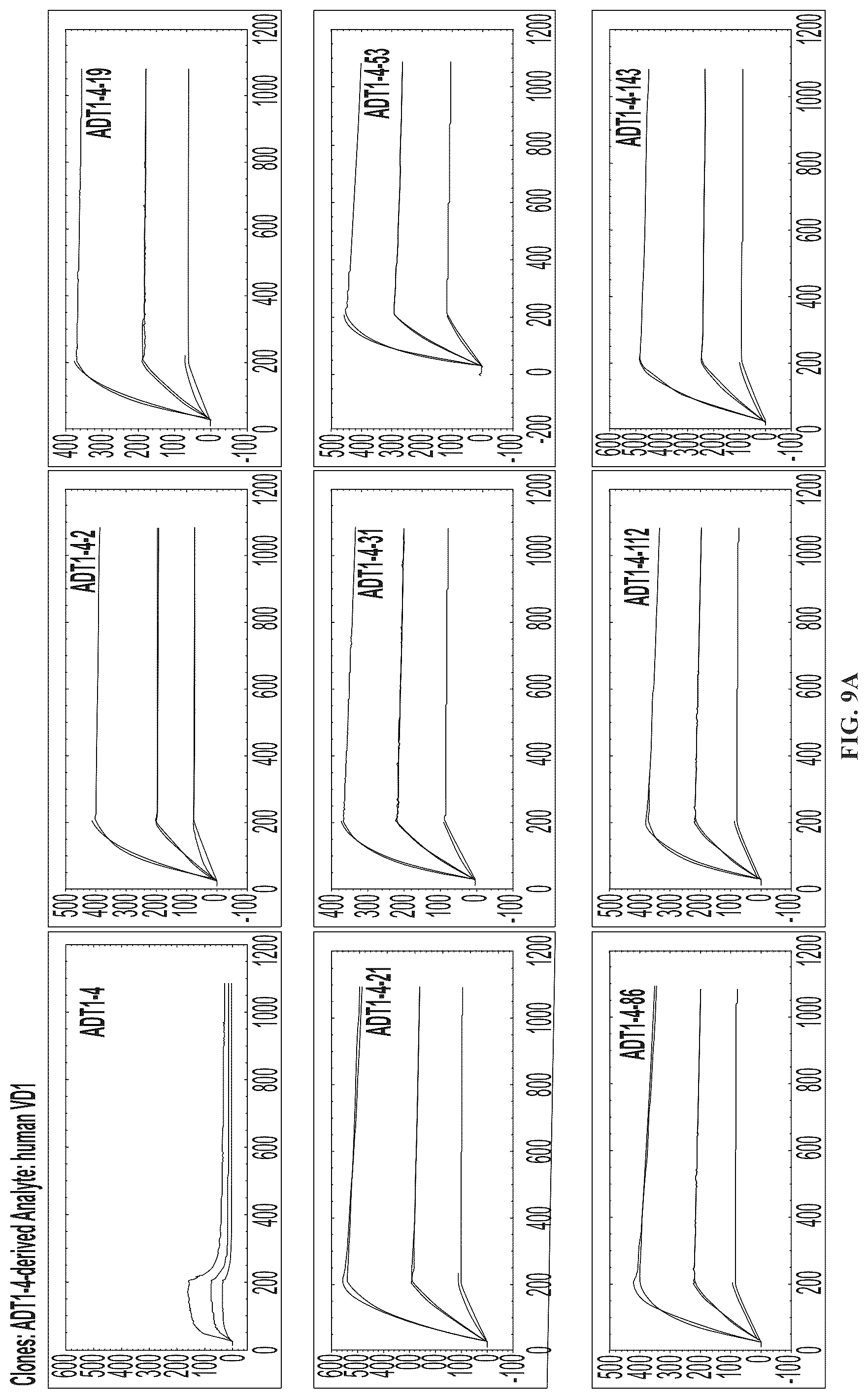 Patent US12312408 Figure 18 – Multispecific anti-TCR delta variable 1 antibodies