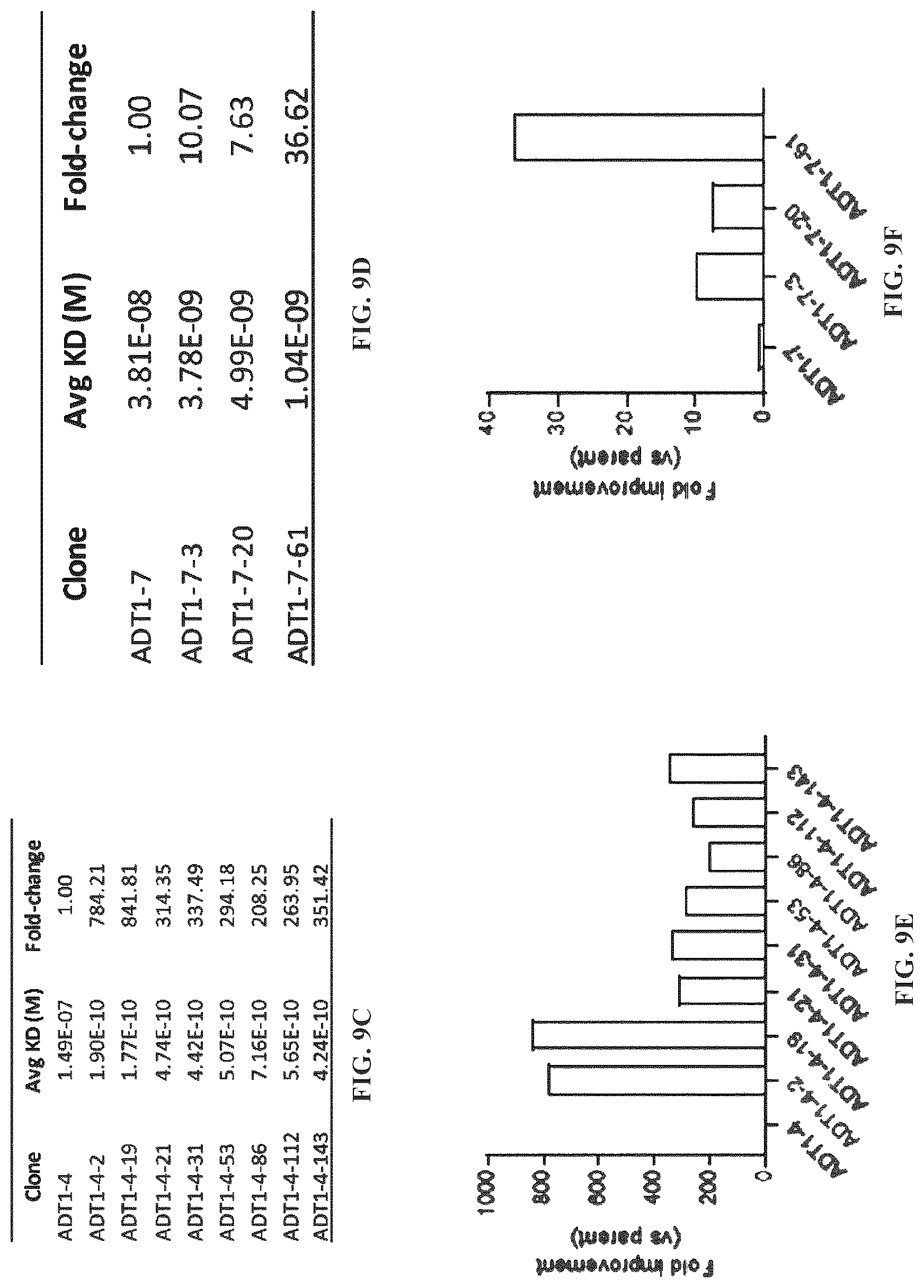 Patent US12312408 Figure 20 – Multispecific anti-TCR delta variable 1 antibodies