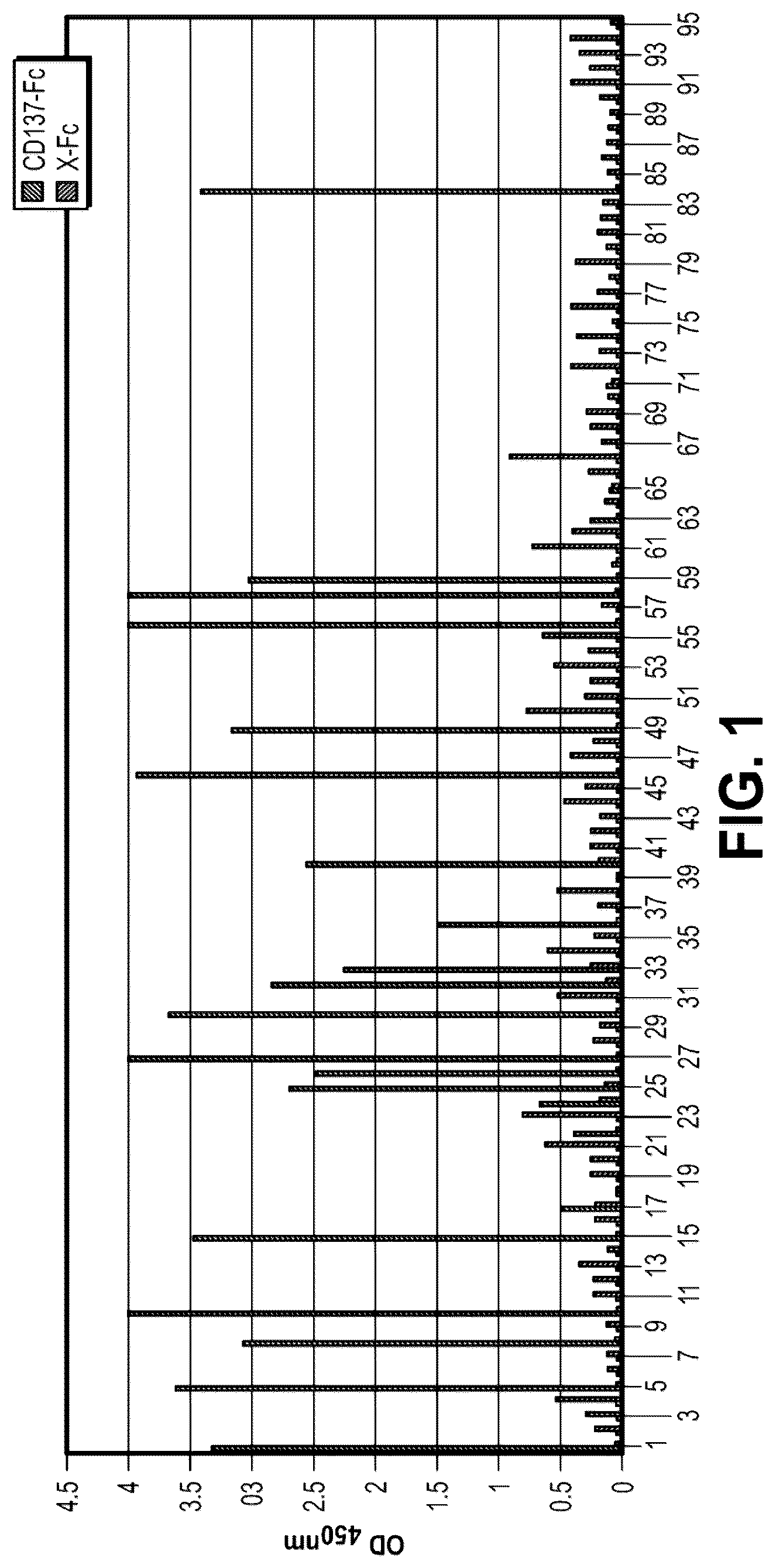 Patent US12312409 — Bispecific CD137-binding antibodies for T-cell activation — Figure 1