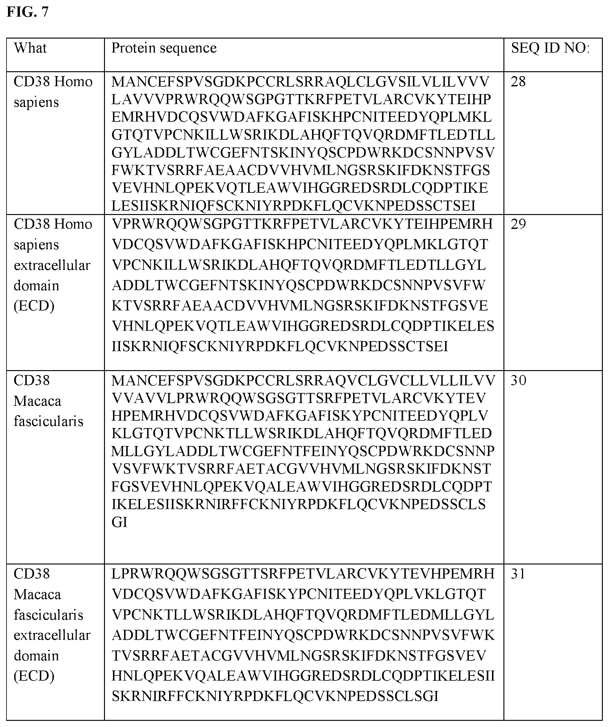 Patent US12312411 Figure 13 – Anti-CD38 binding domains