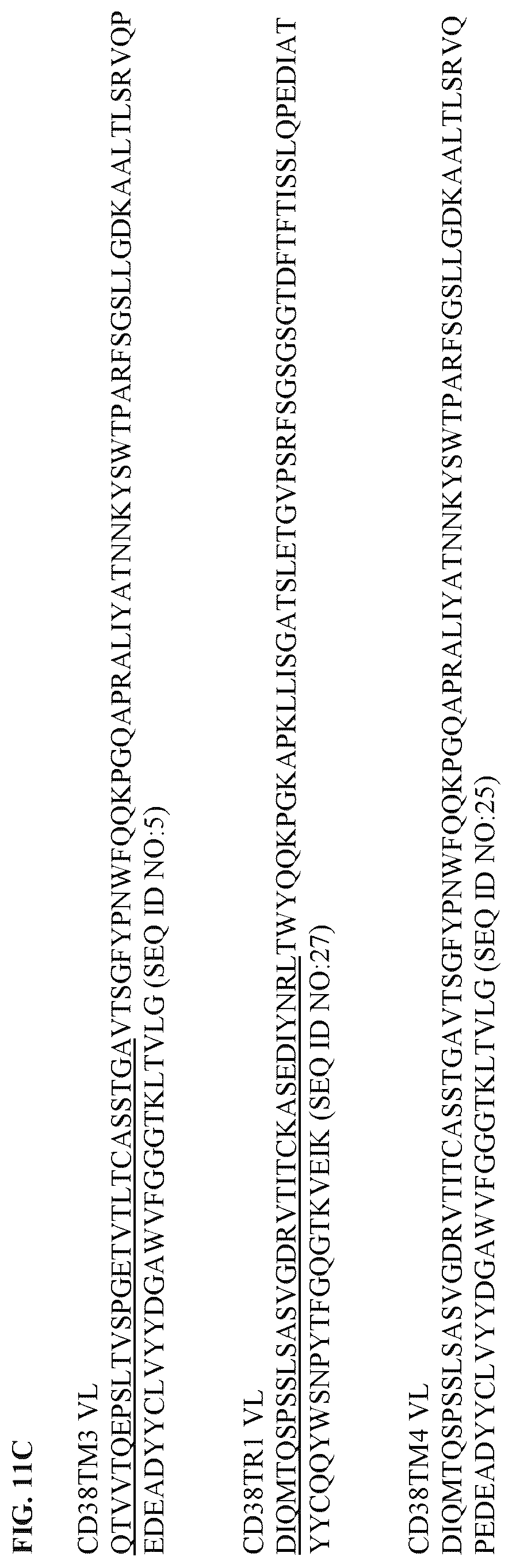 Patent US12312411 Figure 20 – Anti-CD38 binding domains