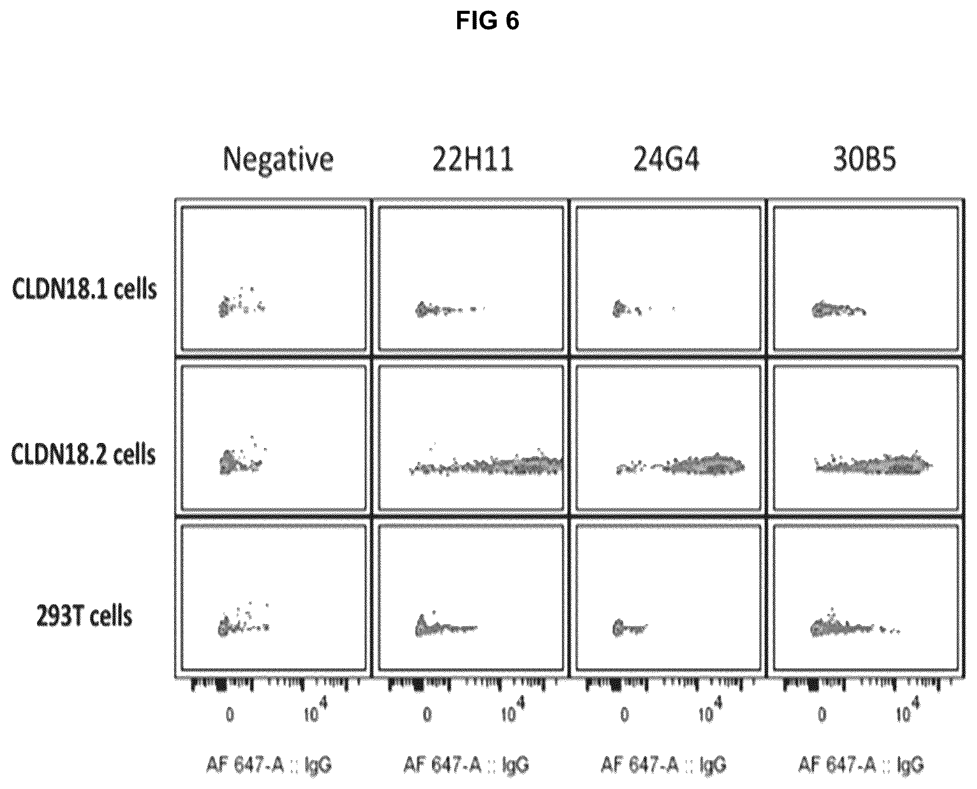 Patent US12312413 Figure 10 – Antibodies and methods for making and using the same