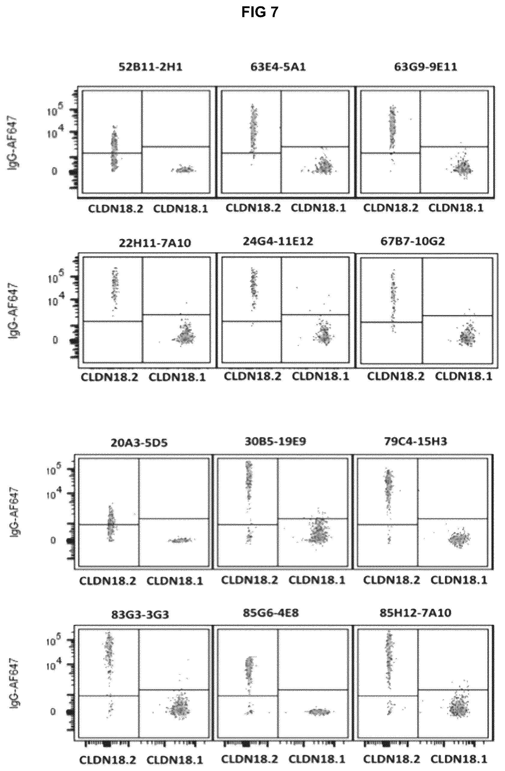 Patent US12312413 Figure 11 – Antibodies and methods for making and using the same