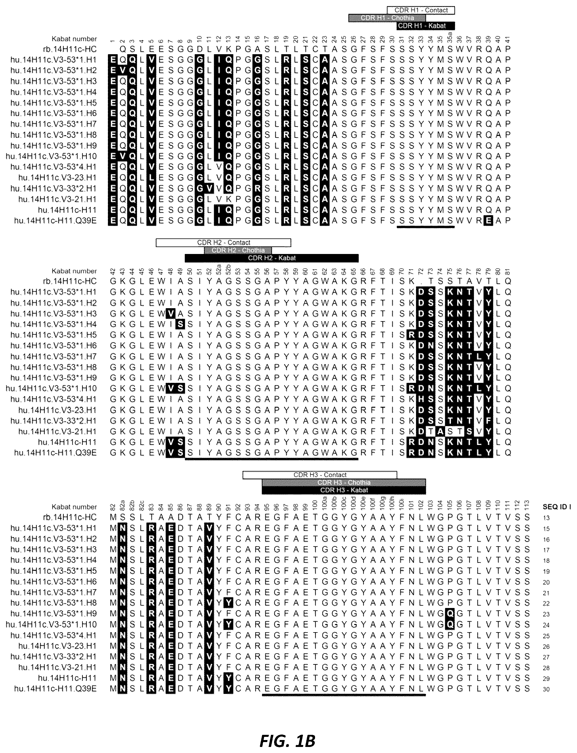 Patent US12312414 Figure 2 – Anti-KLK7 antibodies, anti-KLK5 antibodies, multispecific anti-KLK5/KLK7 antibodies, and methods of use