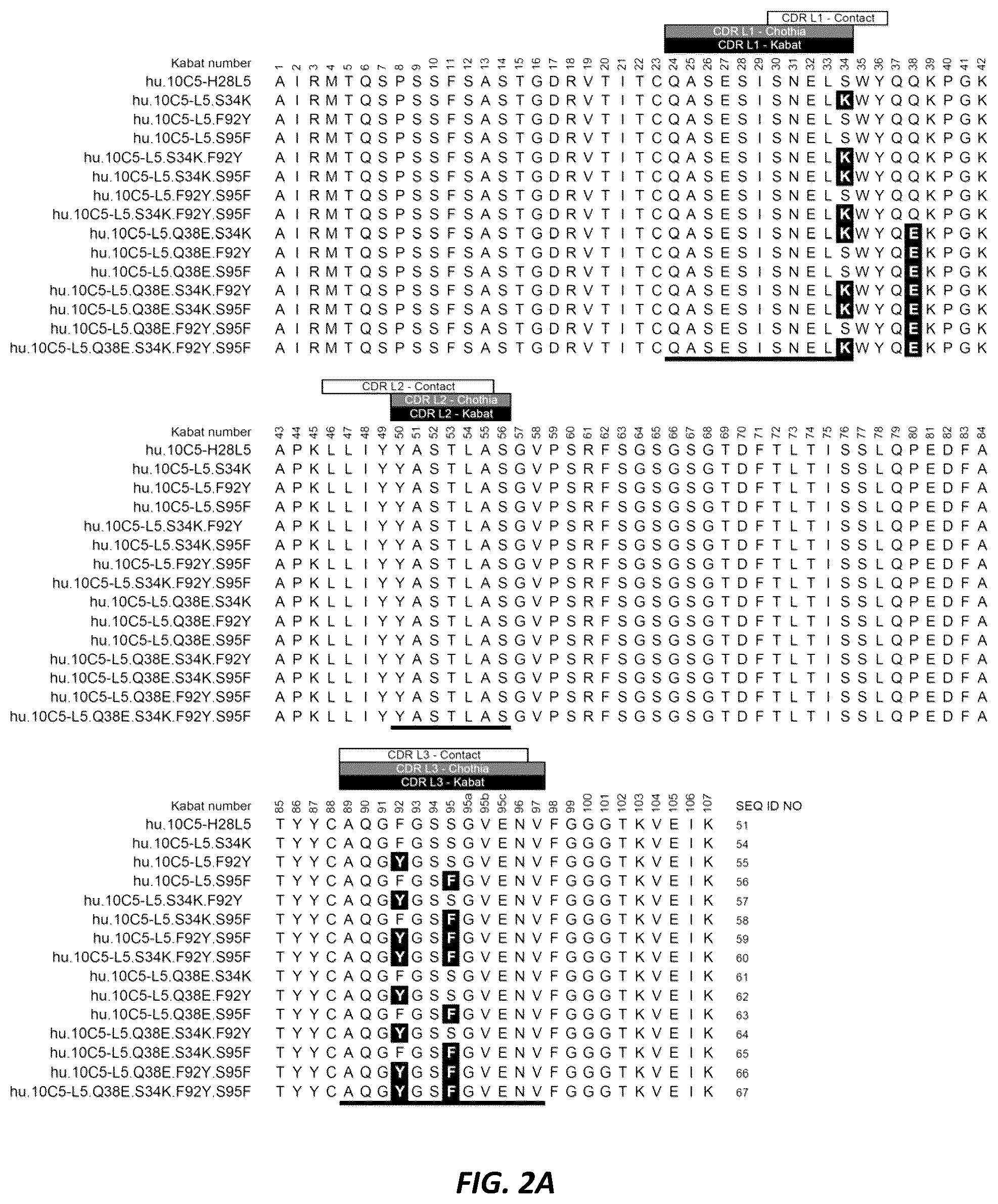 Patent US12312414 Figure 3 – Anti-KLK7 antibodies, anti-KLK5 antibodies, multispecific anti-KLK5/KLK7 antibodies, and methods of use