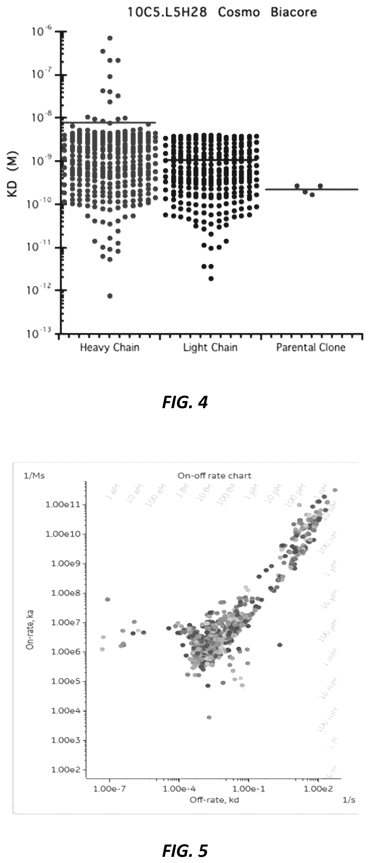 Patent US12312414 Figure 7 – Anti-KLK7 antibodies, anti-KLK5 antibodies, multispecific anti-KLK5/KLK7 antibodies, and methods of use
