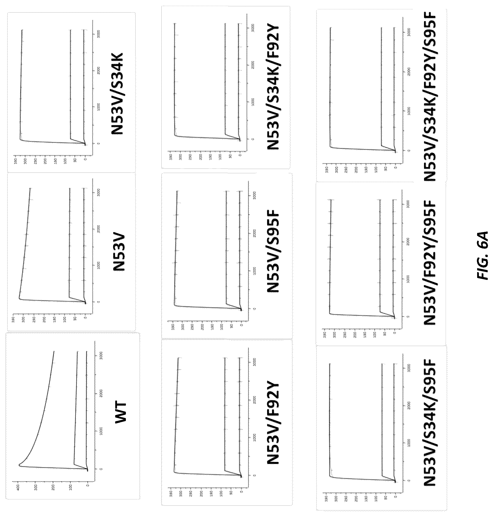 Patent US12312414 Figure 8 – Anti-KLK7 antibodies, anti-KLK5 antibodies, multispecific anti-KLK5/KLK7 antibodies, and methods of use