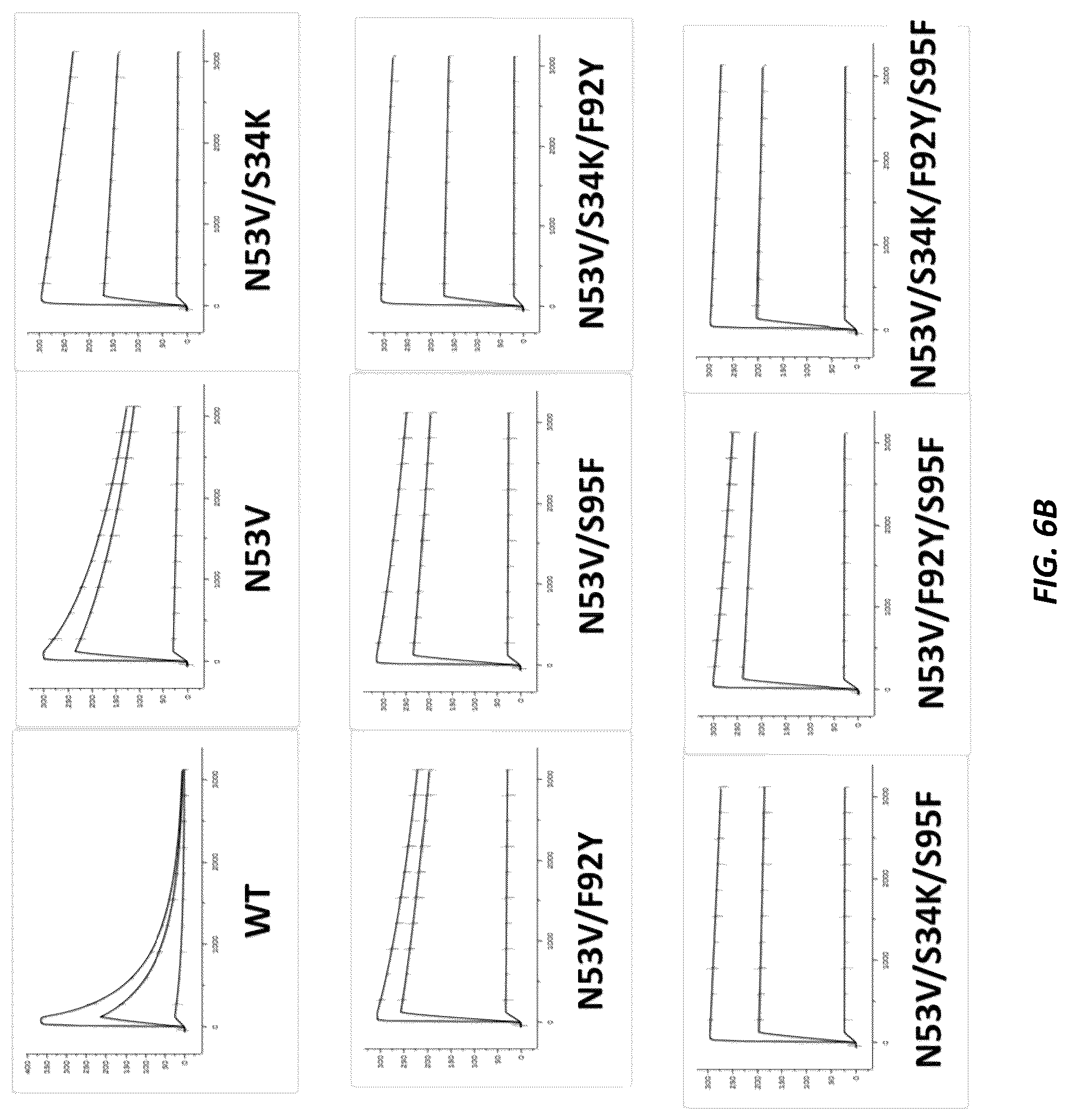 Patent US12312414 Figure 9 – Anti-KLK7 antibodies, anti-KLK5 antibodies, multispecific anti-KLK5/KLK7 antibodies, and methods of use