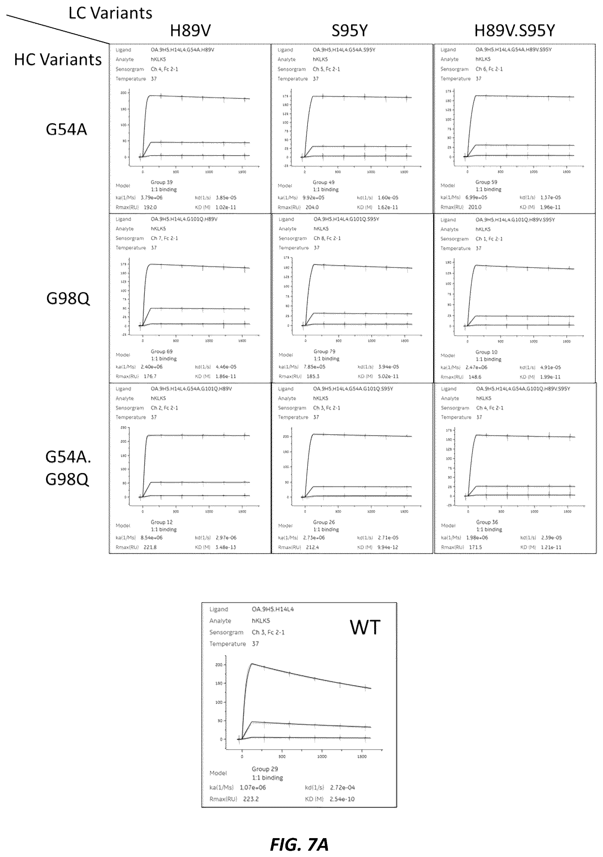 Patent US12312414 Figure 10 – Anti-KLK7 antibodies, anti-KLK5 antibodies, multispecific anti-KLK5/KLK7 antibodies, and methods of use