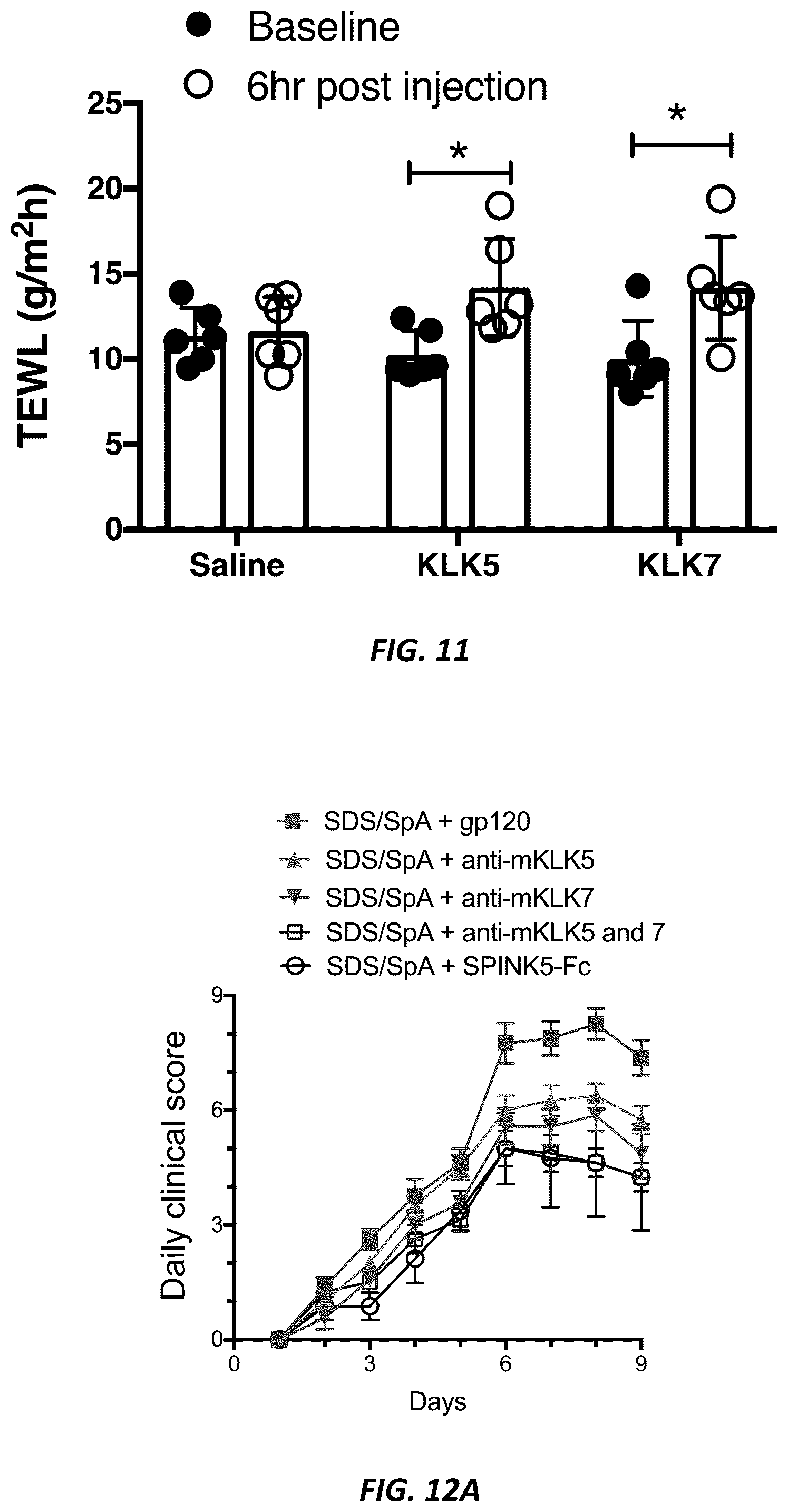 Patent US12312414 Figure 15 – Anti-KLK7 antibodies, anti-KLK5 antibodies, multispecific anti-KLK5/KLK7 antibodies, and methods of use