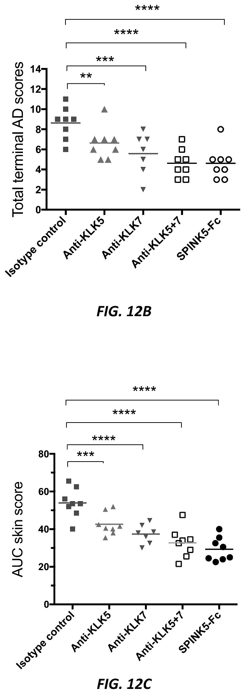 Patent US12312414 Figure 16 – Anti-KLK7 antibodies, anti-KLK5 antibodies, multispecific anti-KLK5/KLK7 antibodies, and methods of use