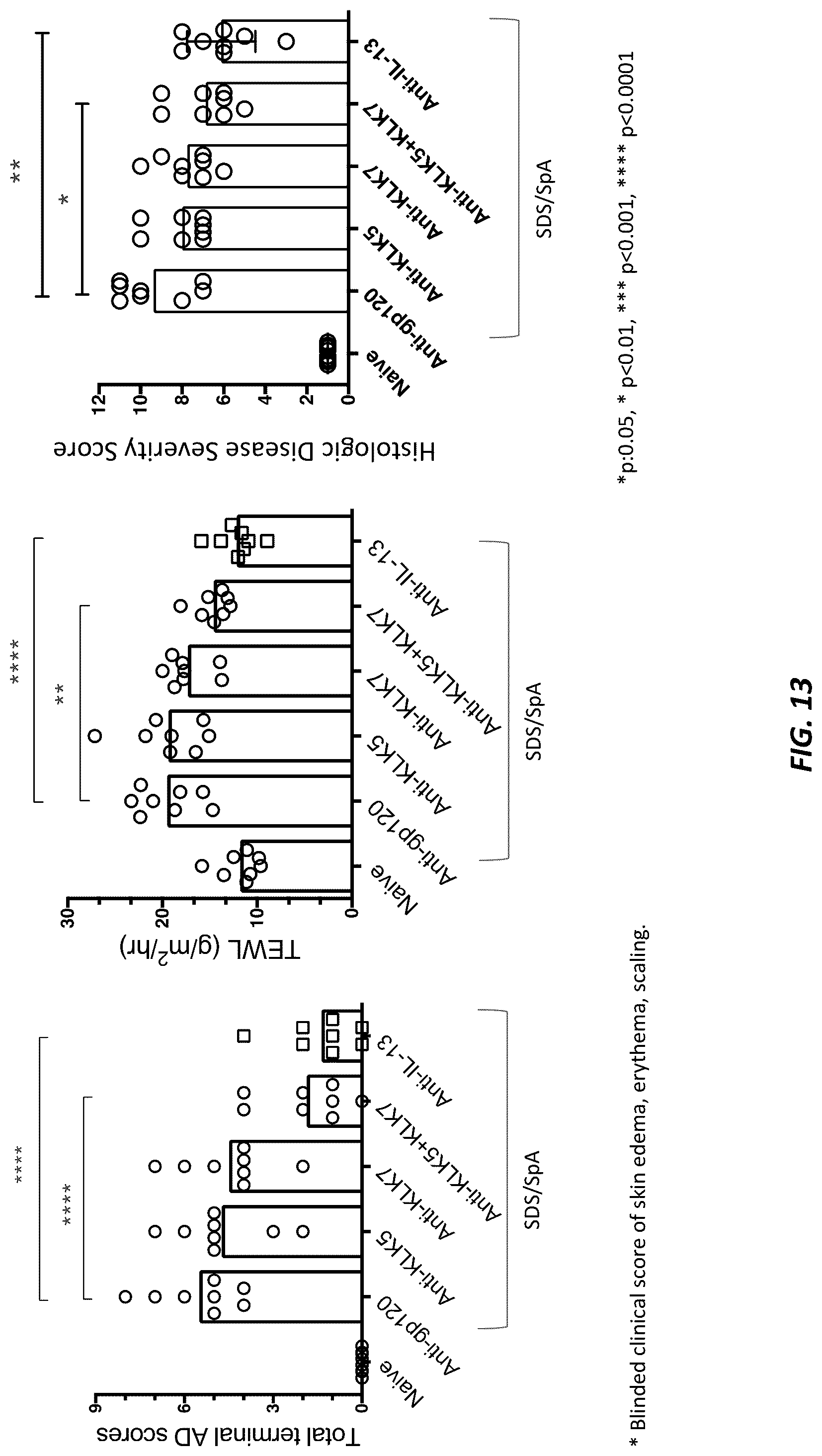 Patent US12312414 Figure 17 – Anti-KLK7 antibodies, anti-KLK5 antibodies, multispecific anti-KLK5/KLK7 antibodies, and methods of use