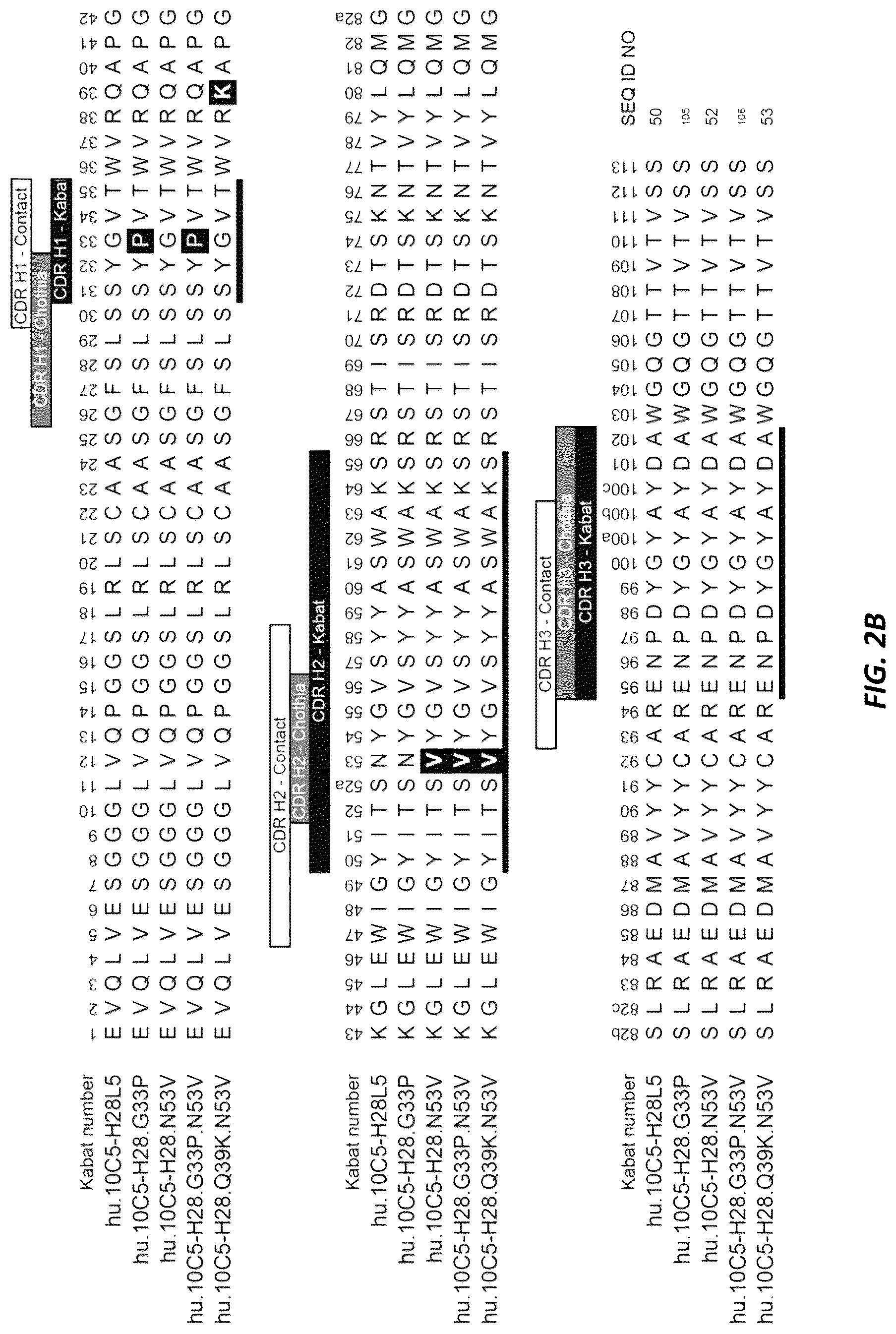 Patent US12312415 Figure 4 – Anti-KLK7 antibodies, anti-KLK5 antibodies, multispecific anti-KLK5/KLK7 antibodies, and methods of use