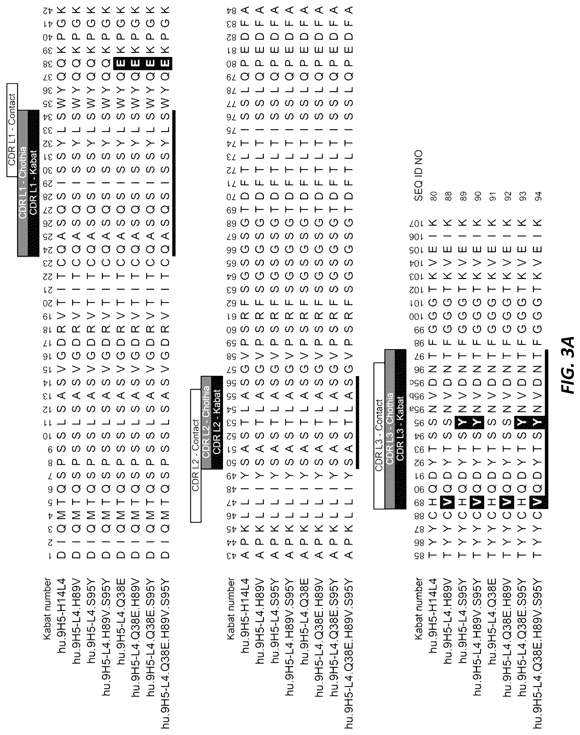 Patent US12312415 Figure 5 – Anti-KLK7 antibodies, anti-KLK5 antibodies, multispecific anti-KLK5/KLK7 antibodies, and methods of use
