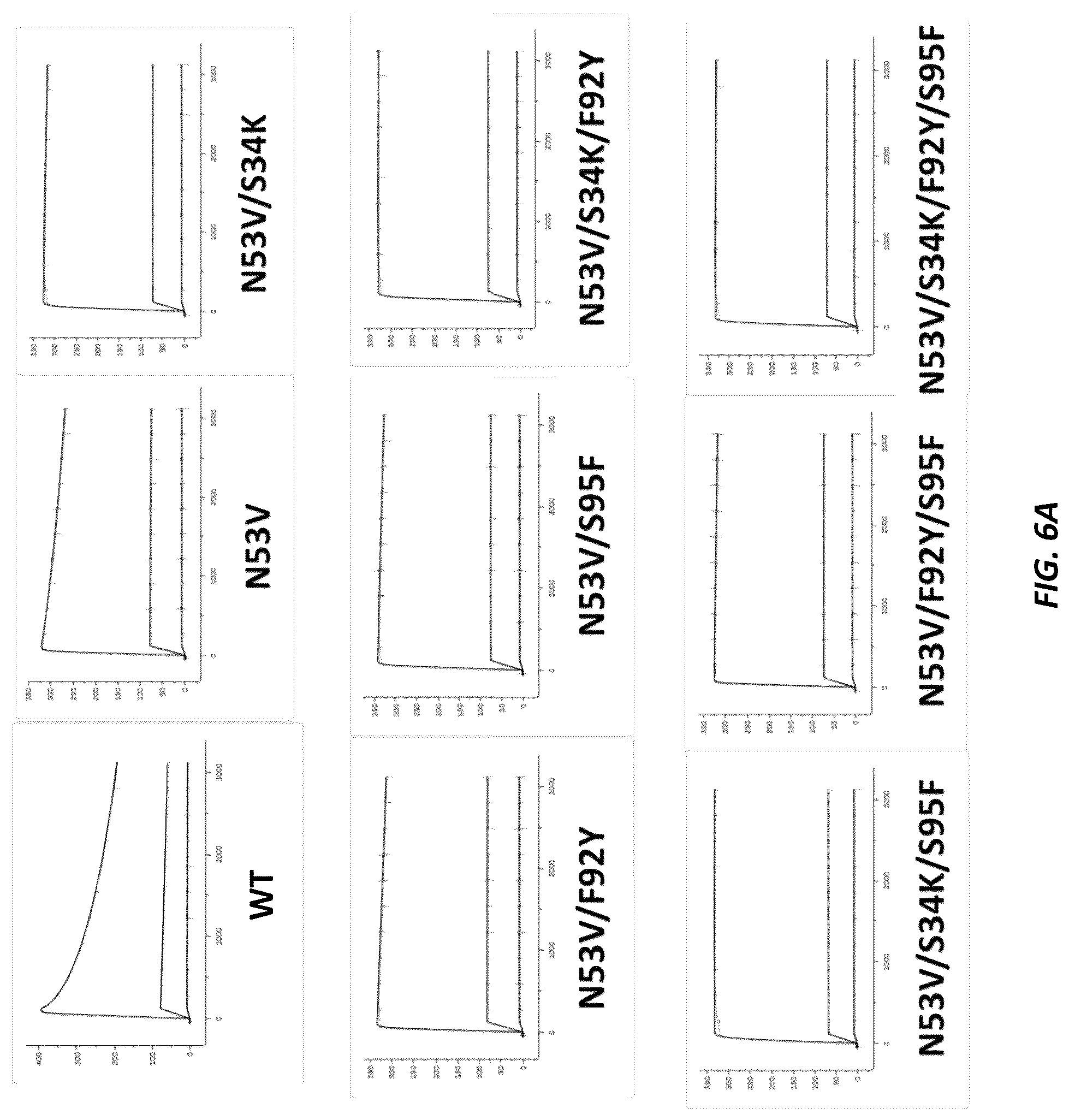 Patent US12312415 Figure 8 – Anti-KLK7 antibodies, anti-KLK5 antibodies, multispecific anti-KLK5/KLK7 antibodies, and methods of use