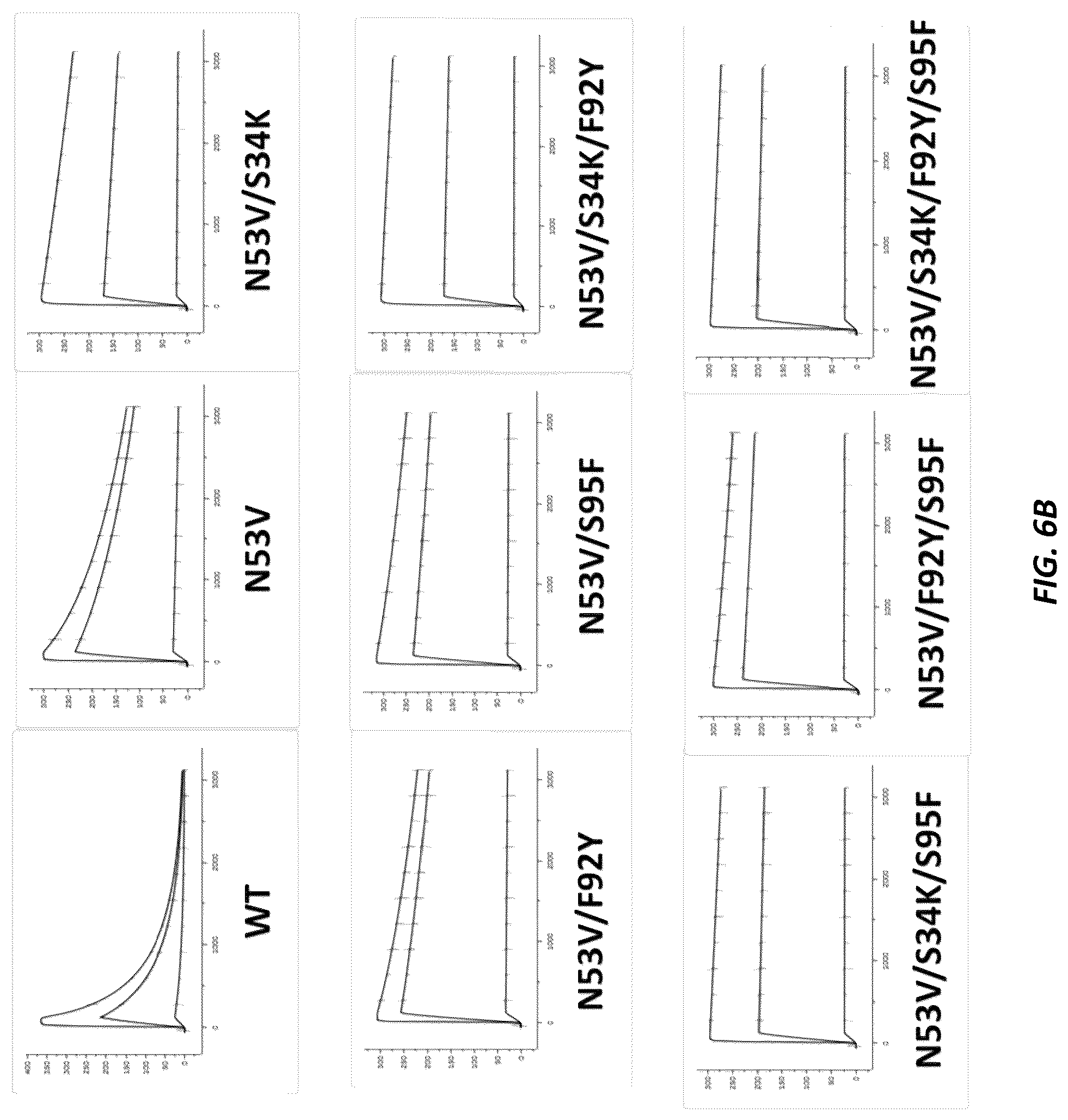 Patent US12312415 Figure 9 – Anti-KLK7 antibodies, anti-KLK5 antibodies, multispecific anti-KLK5/KLK7 antibodies, and methods of use