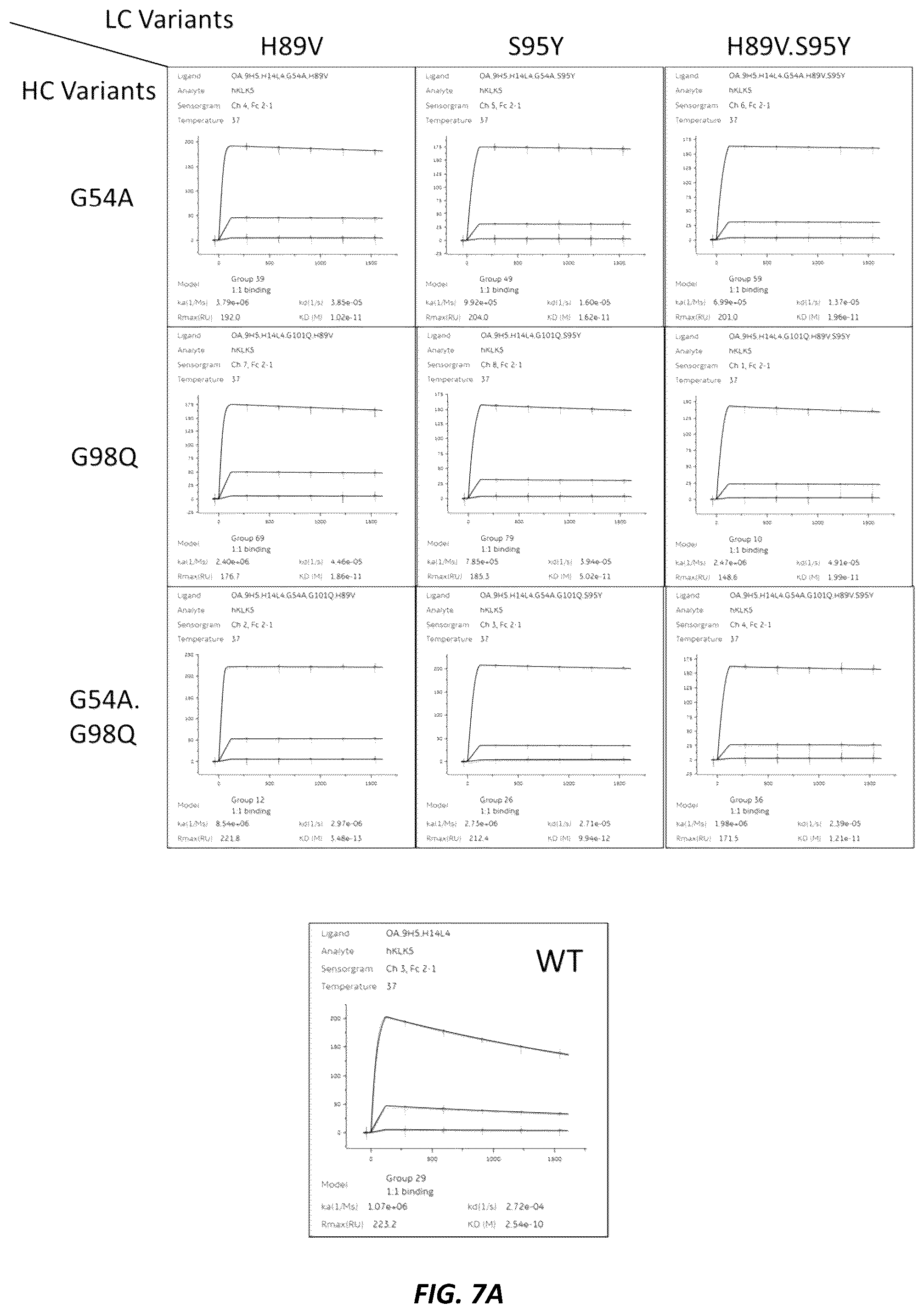 Patent US12312415 Figure 10 – Anti-KLK7 antibodies, anti-KLK5 antibodies, multispecific anti-KLK5/KLK7 antibodies, and methods of use