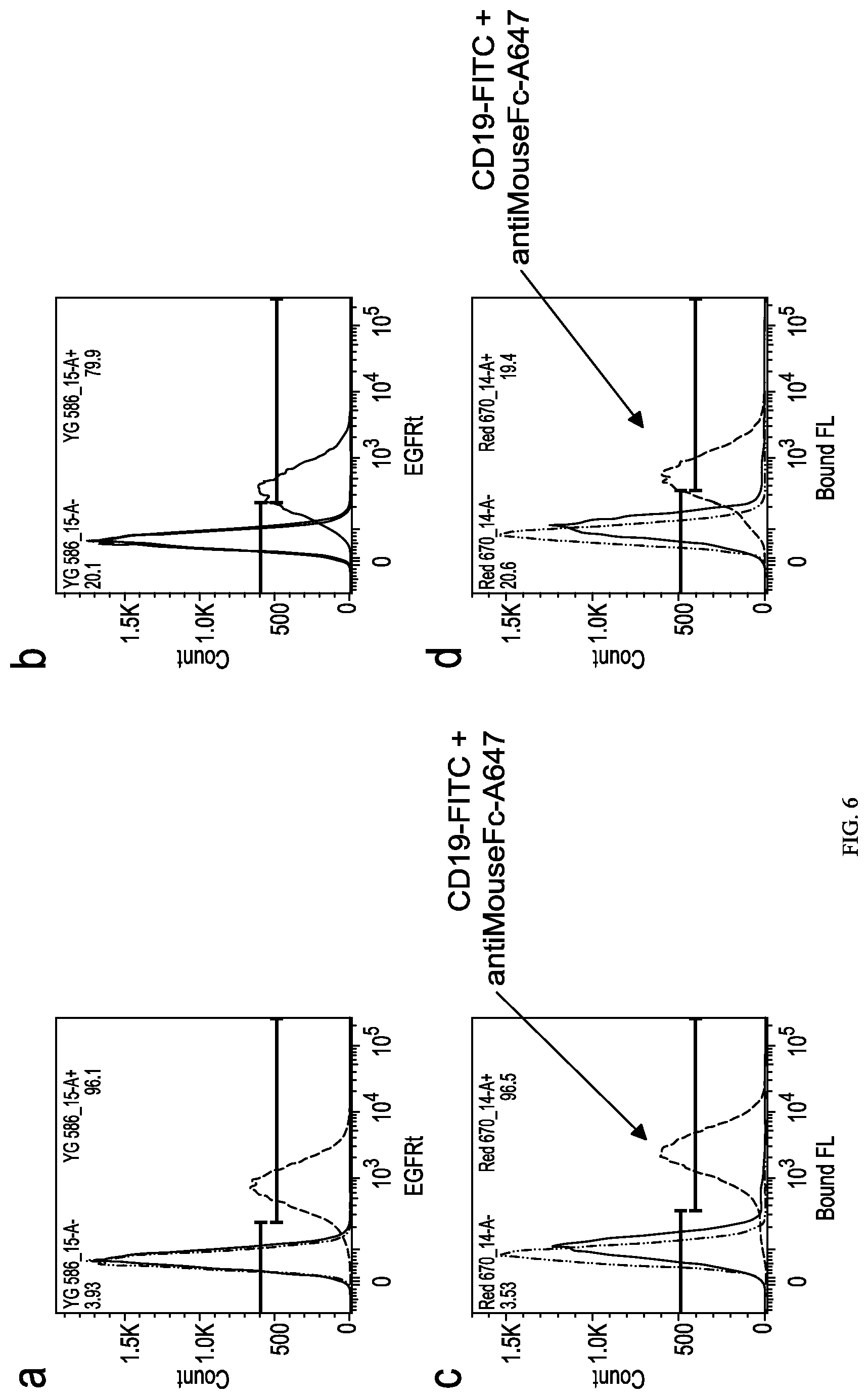 Patent US12312416 Figure 6 – Fluorescein-specific cars exhibiting optimal t cell function against FL-PLE labelled tumors