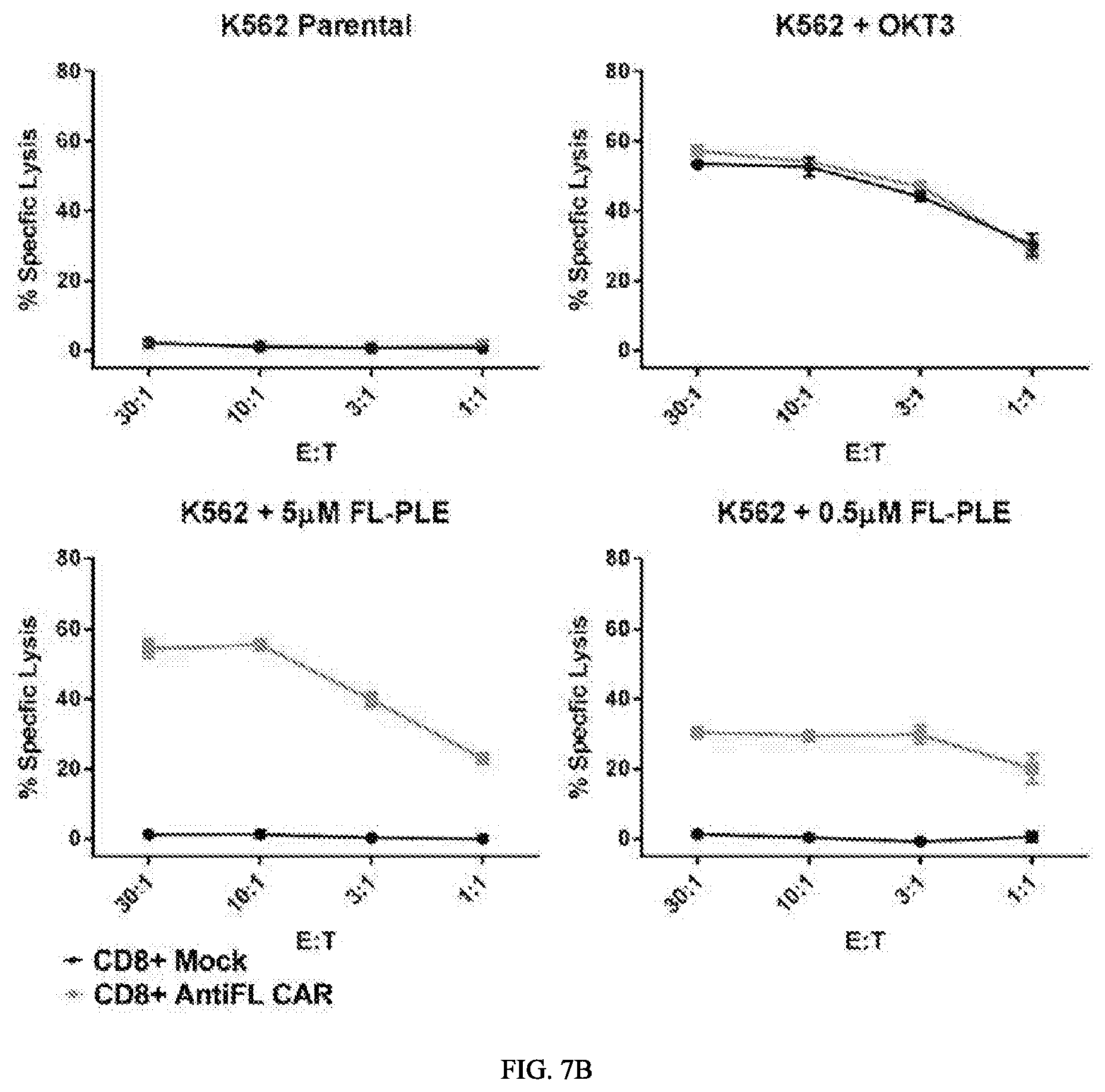Patent US12312416 Figure 8 – Fluorescein-specific cars exhibiting optimal t cell function against FL-PLE labelled tumors