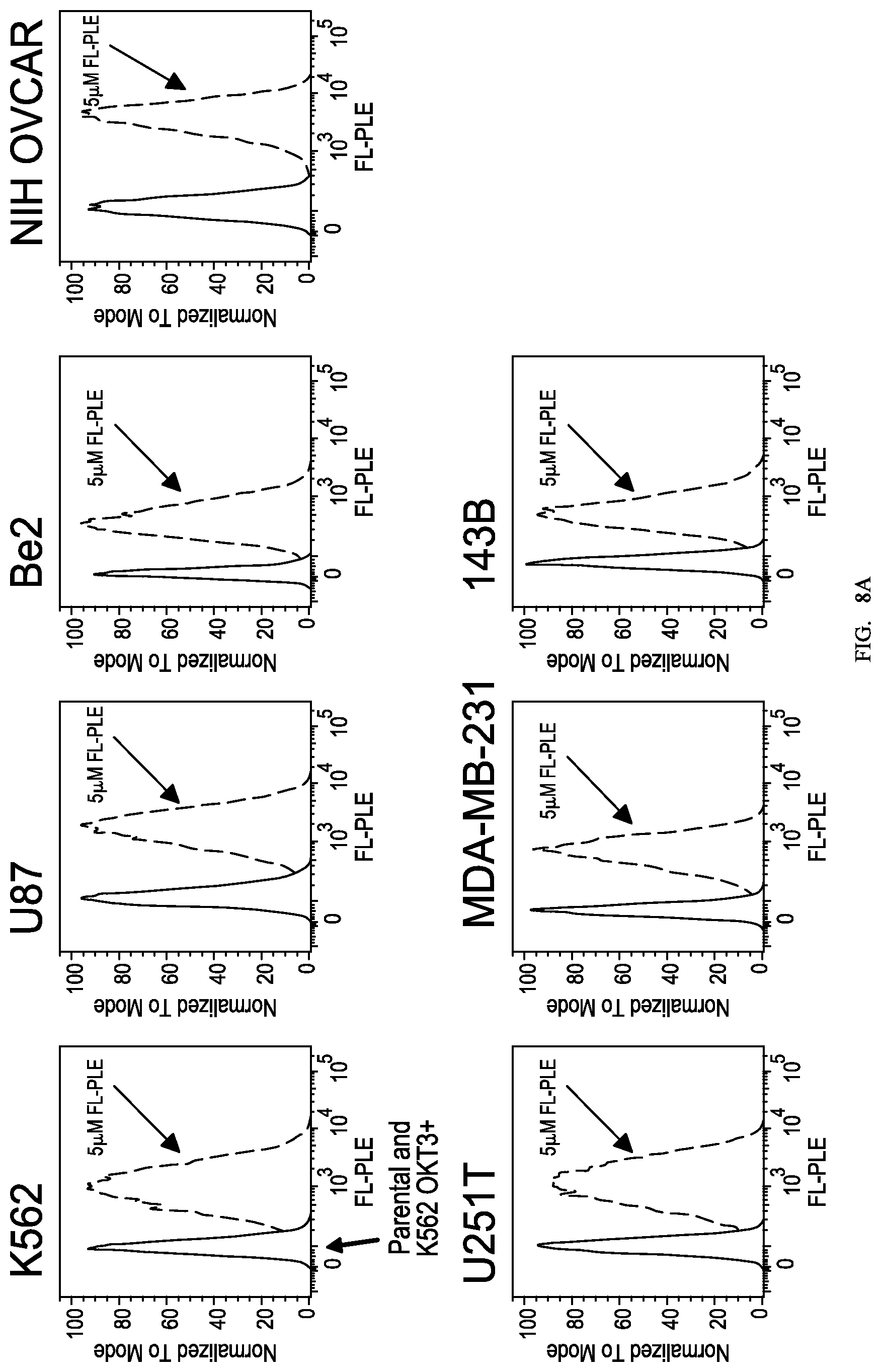 Patent US12312416 Figure 10 – Fluorescein-specific cars exhibiting optimal t cell function against FL-PLE labelled tumors