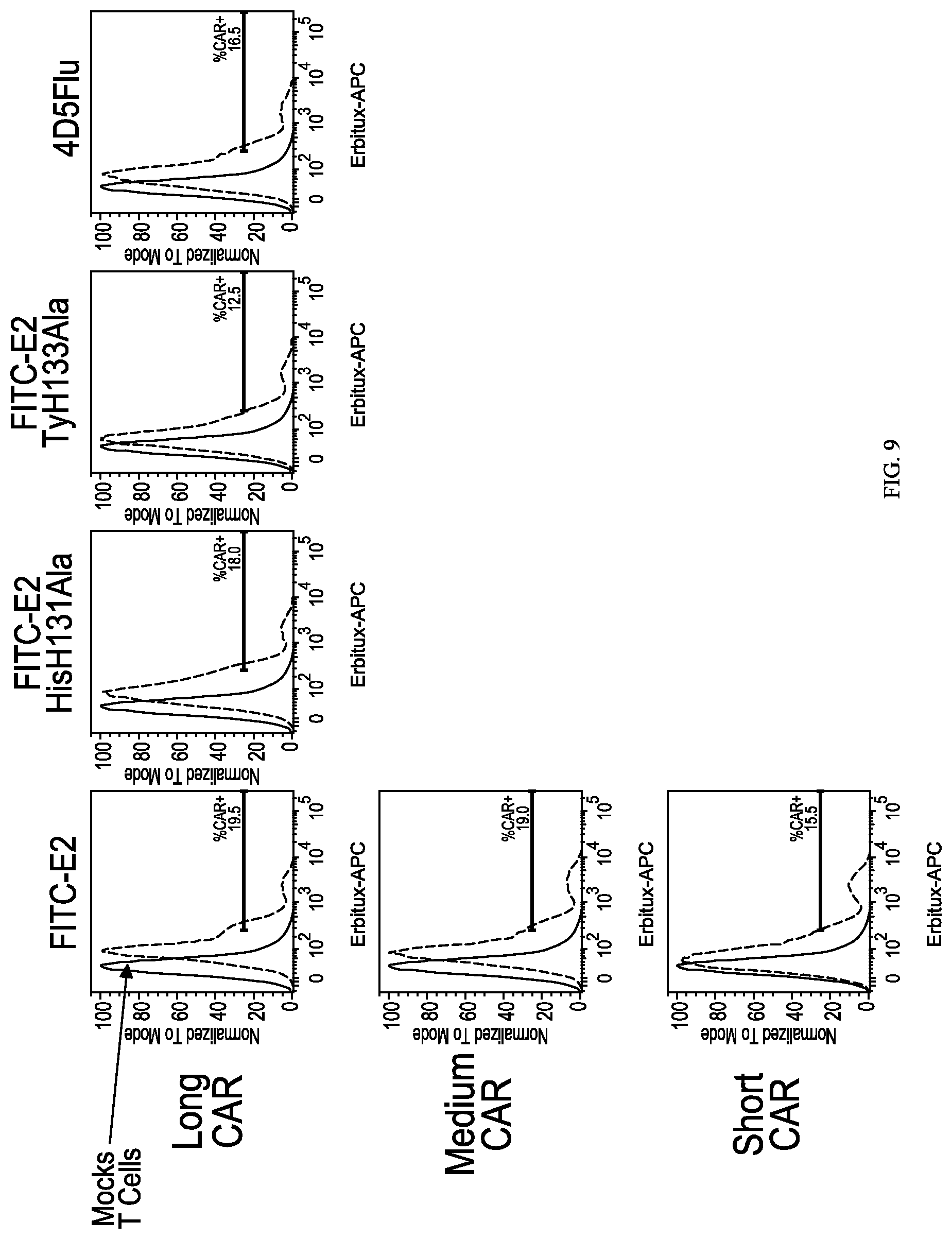 Patent US12312416 Figure 14 – Fluorescein-specific cars exhibiting optimal t cell function against FL-PLE labelled tumors