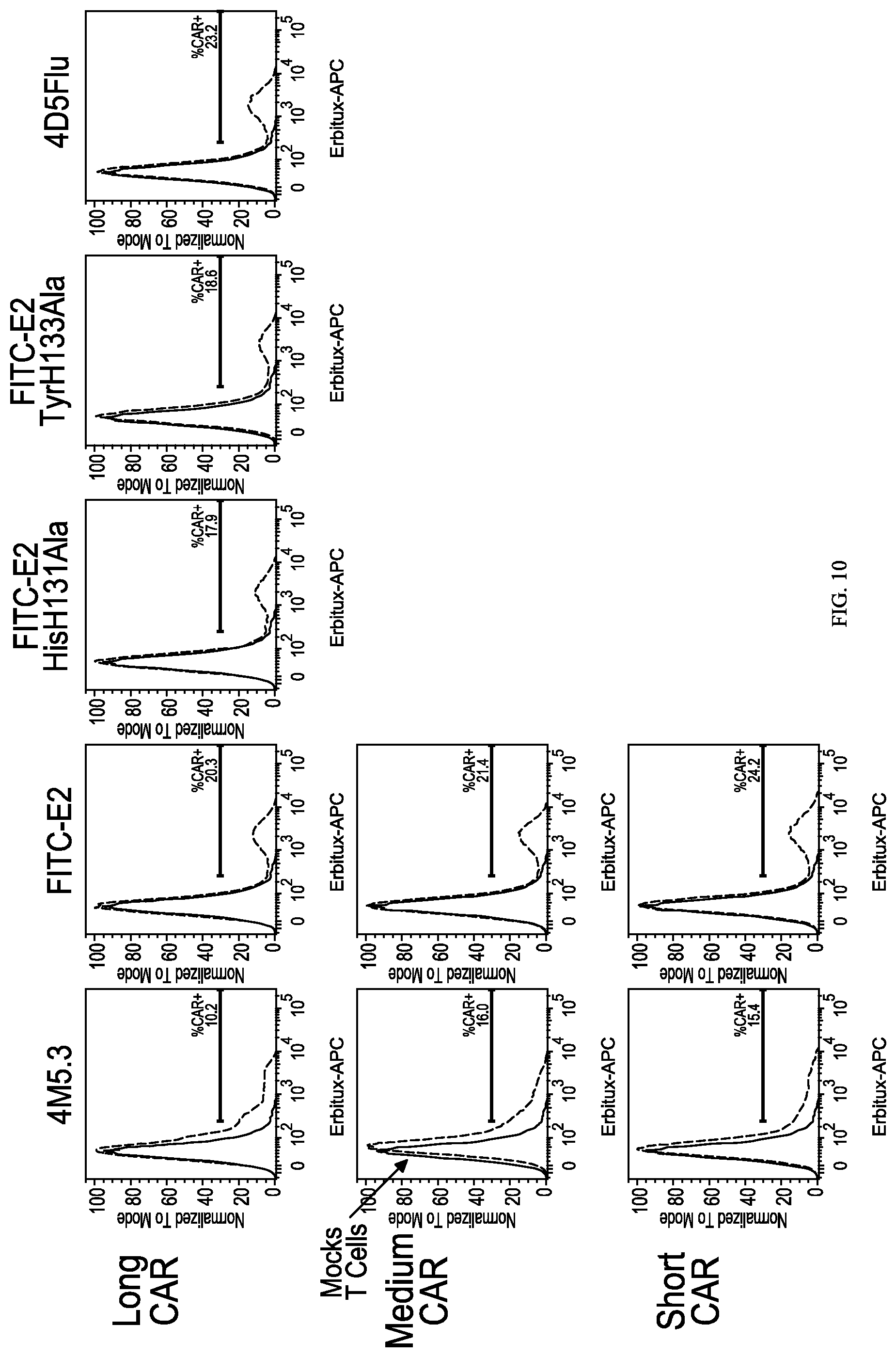 Patent US12312416 Figure 15 – Fluorescein-specific cars exhibiting optimal t cell function against FL-PLE labelled tumors