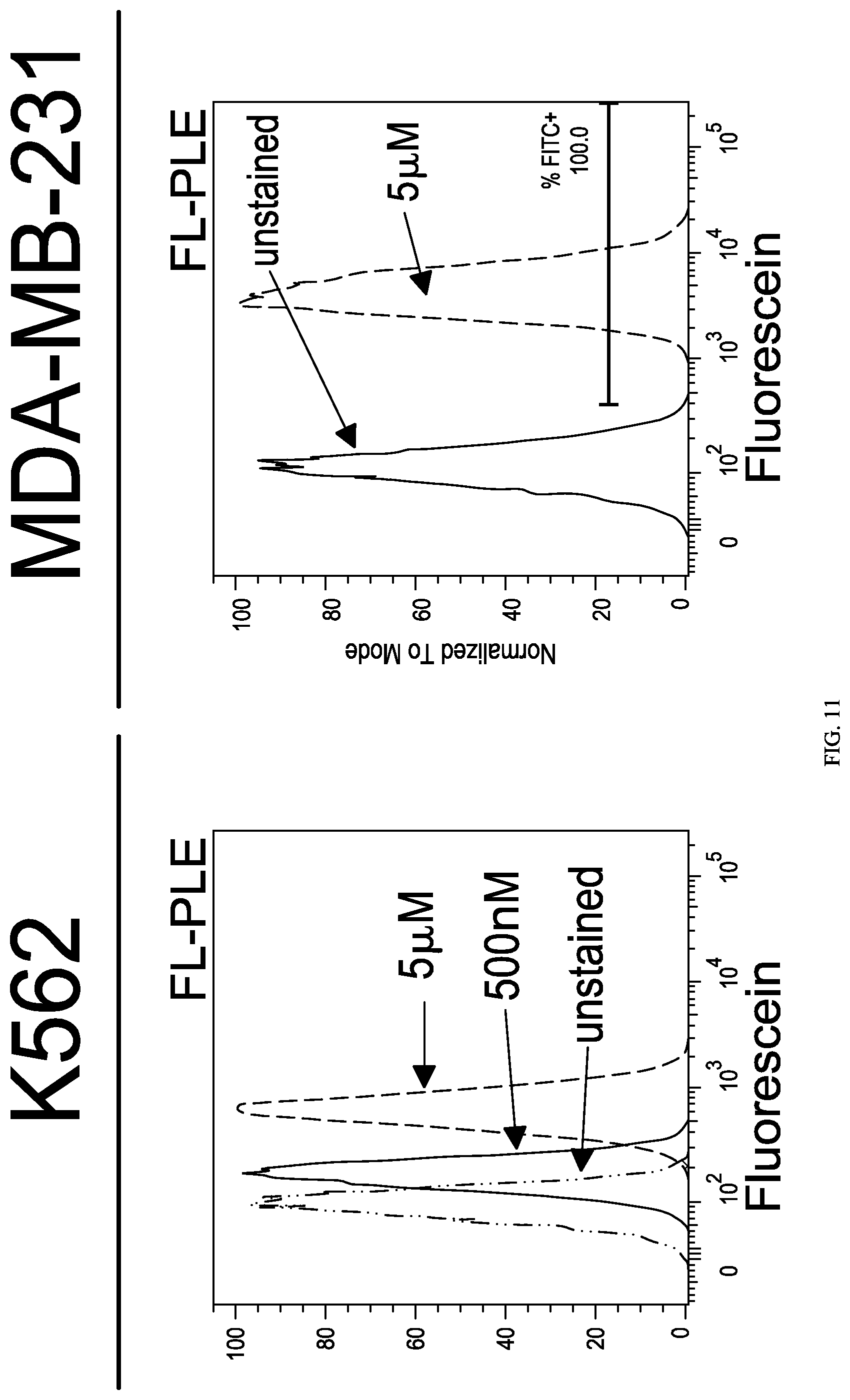 Patent US12312416 Figure 16 – Fluorescein-specific cars exhibiting optimal t cell function against FL-PLE labelled tumors