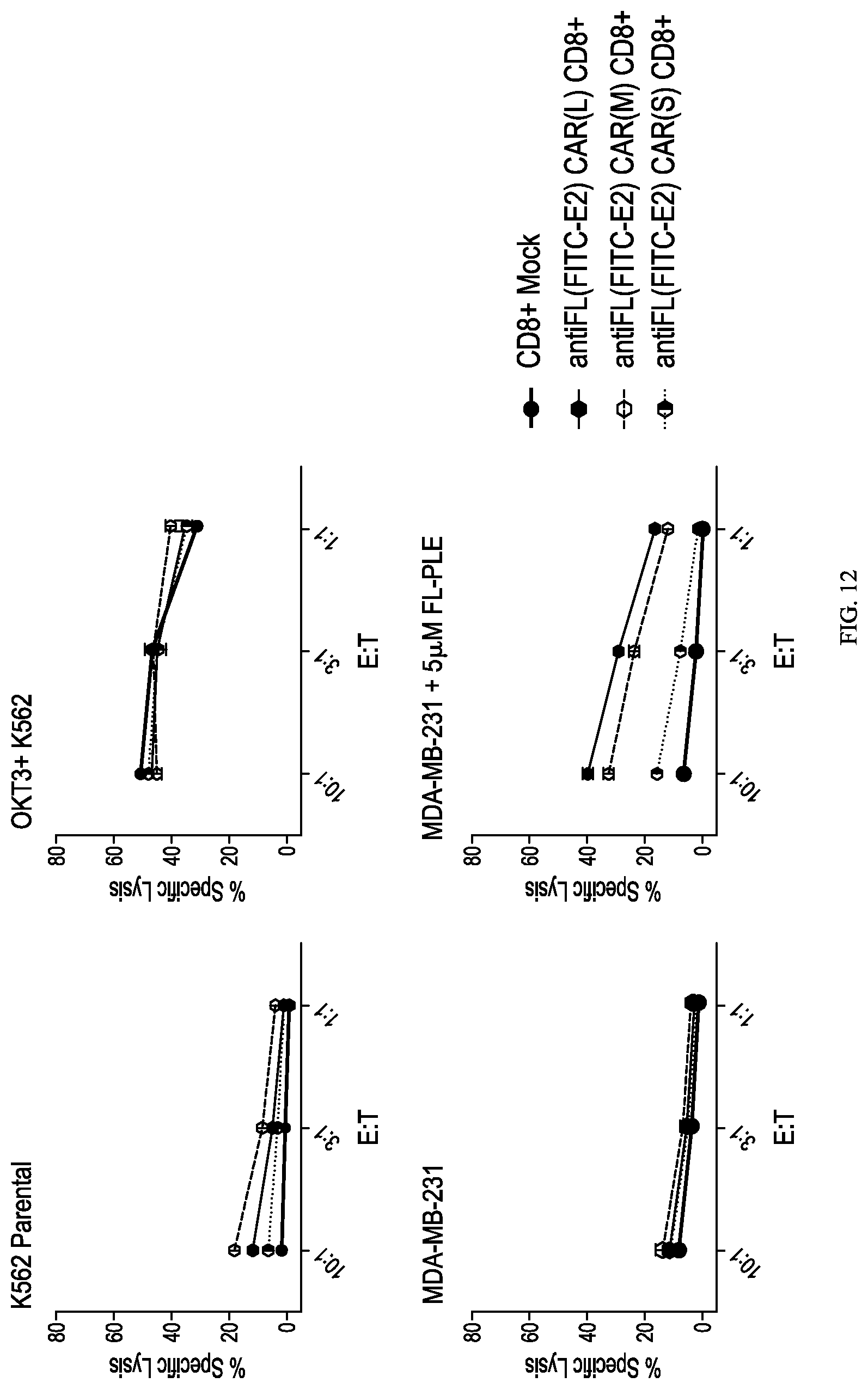 Patent US12312416 Figure 17 – Fluorescein-specific cars exhibiting optimal t cell function against FL-PLE labelled tumors